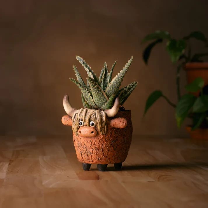 Dougal The Highland Cow Planter by Blob House by artist Gesine Kratzner - Meet Dougal the Highland Cow! Designed by Portland, Oregon artist Gesine Kratzner for Cohasset Gifts and Garden. Made for indoor/outdoor use, the planter has a hole for drainage. Includes tillandsia air plant or succulent plant. 4 1/4 inches L and 3 3/8 inches H   Opening is 2.5" x 3.0"
