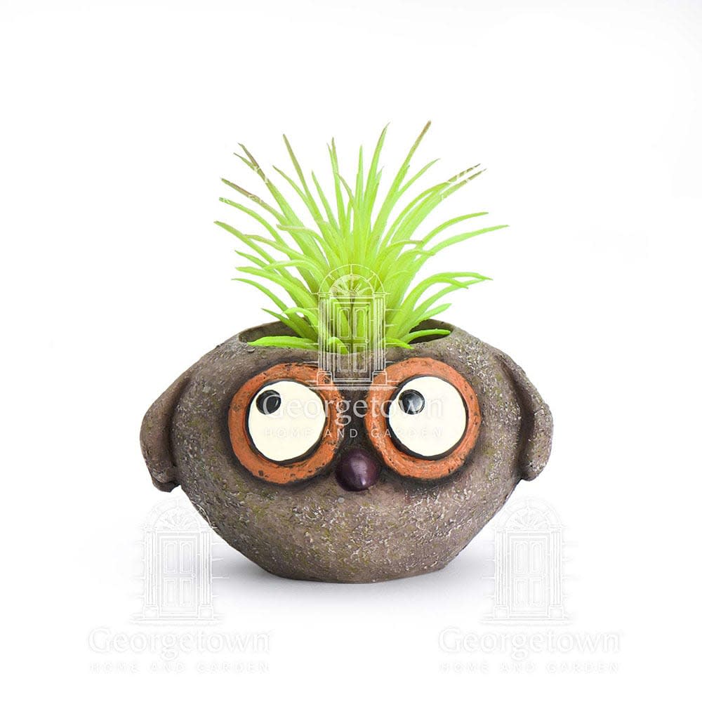 Owen, Baby Brown Owl Mini Desktop Planter with Air Plant or Succulent by Blob House - Owen the baby brown owl mini desktop planter is 3.5 inches wide and 2 inches in height without Air Plant. These adorable creatures are the creation of artist Gesine Kratzner of Portland, Oregon.