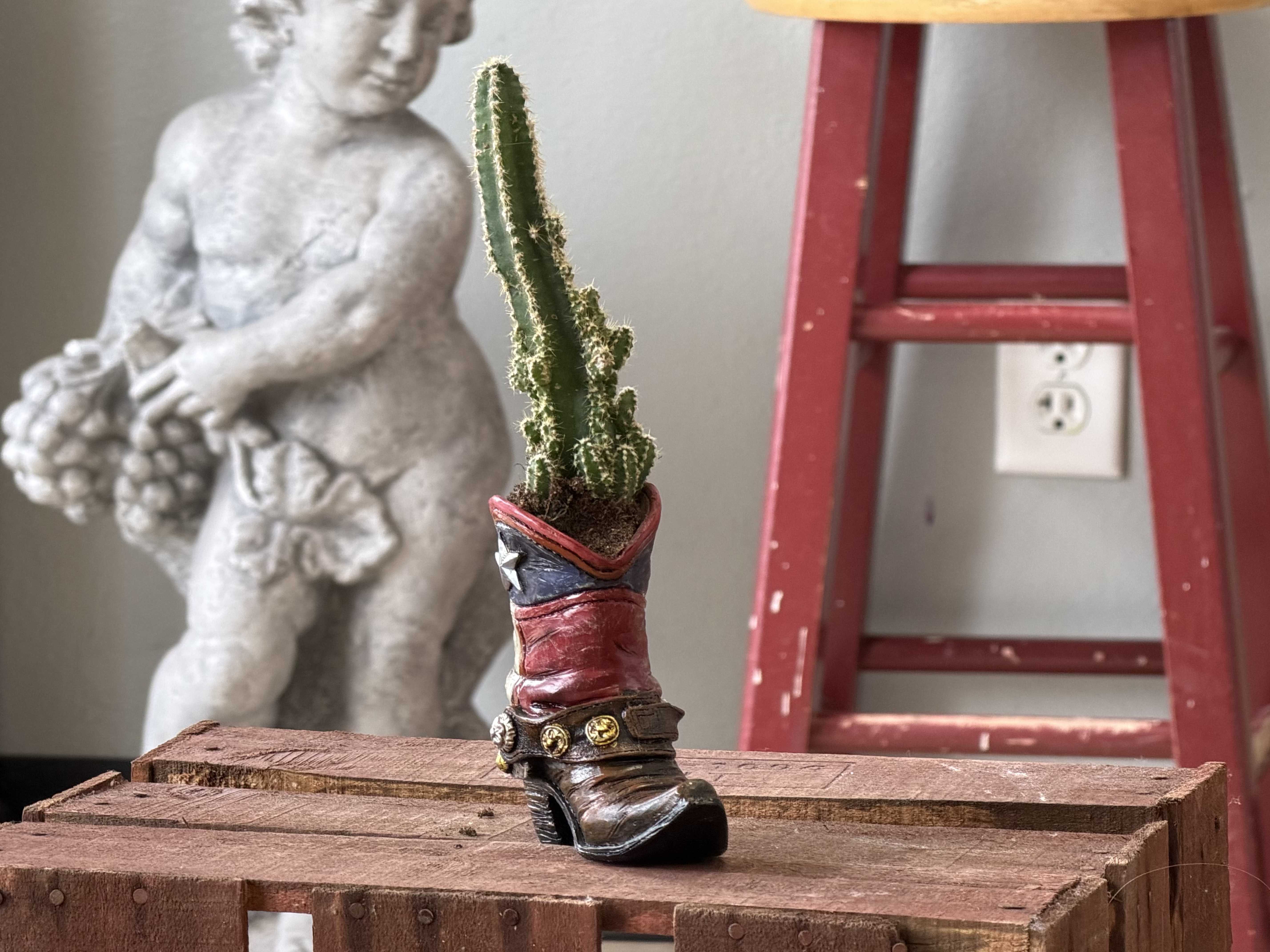 country succulent - A playful country succulent that feels like a little slice of Americana-perfect as a birthday gift, housewarming accent, or a quirky "thinking of you" surprise. This novelty plant arrangement features a tall, spiky cactus planted in a decorative cowboy boot planter with red, white, and blue paint and a star detail, giving the piece a rustic, homespun charm that will make the person you're thinking of smile.  Compact and ready to display, the cactus brings green texture and a striking vertical line against the sculpted boot base; the painted boot adds pops of red, white, and blue with subtle black accents for contrast. Styled like a home décor item more than a traditional bouquet, it's ideal for mantels, desks, or entry tables where space is limited. Recommend as a casual gift for someone who appreciates country style or succulents-low care, easy to place, and instantly characterful.
