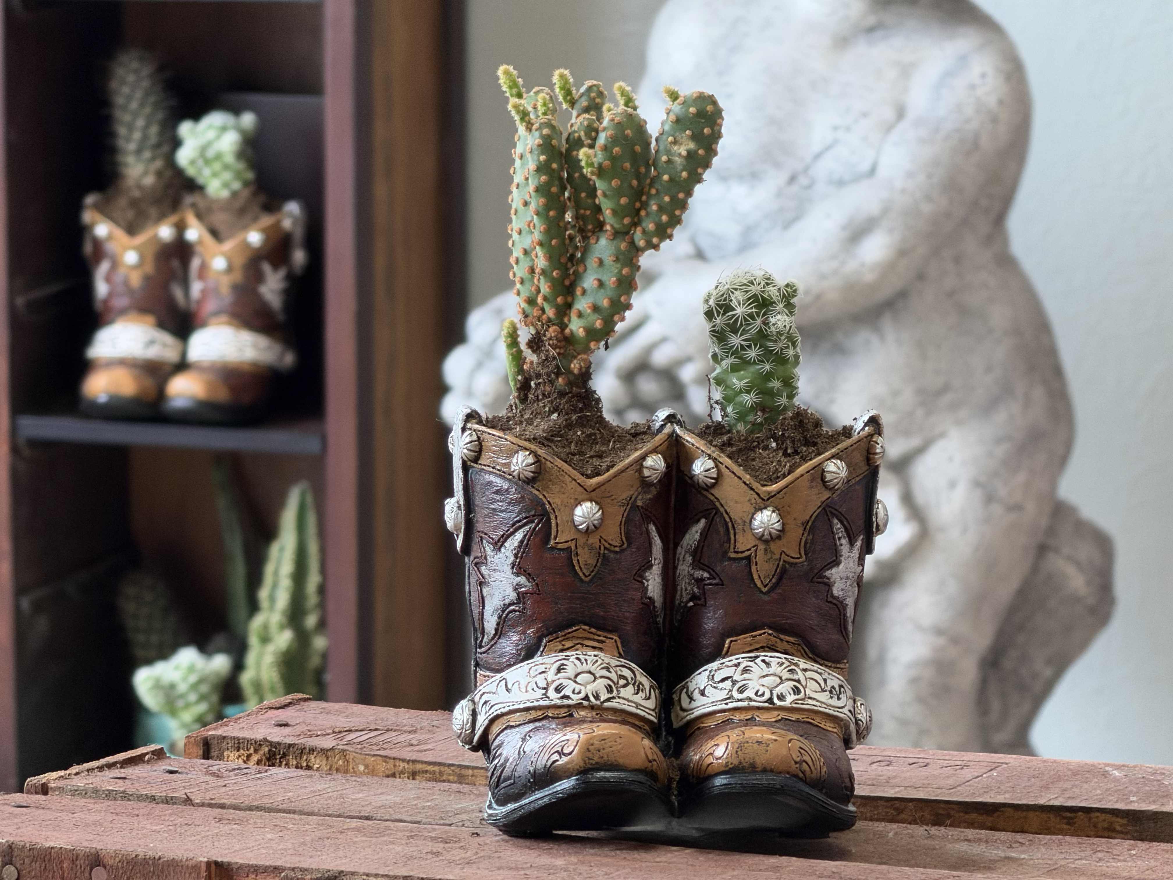 two steppin' succulents - Two Steppin' Succulents brings playful Western charm to a casual gift or tabletop accent-perfect as a birthday surprise, housewarming gift, or a whimsical "thinking of you" for someone who loves rustic style. The arrangement pairs two small cacti planted inside a matching set of ornate cowboy-boot planters, so the recipient will get an instant smile and a memorable, long-lasting accent piece.  The boots are richly detailed in brown, tan, and white tones with a worn-leather look that reads like a tiny ranch keepsake; the green, spiky cactus silhouettes create a sculptural contrast against the soft, decorative leathers. Presented on a wooden surface, this duo reads like a finished vignette-no vase needed-so it looks great on a windowsill, bookshelf, or entry table.  This is the kind of gift that makes someone feel seen for their sense of humor and style: an easy, low-maintenance way to bring personality into a home. Cacti are hardy and forgiving-ideal for recipients who prefer plants that don't demand daily care-so it's ready to display right out of the box.
