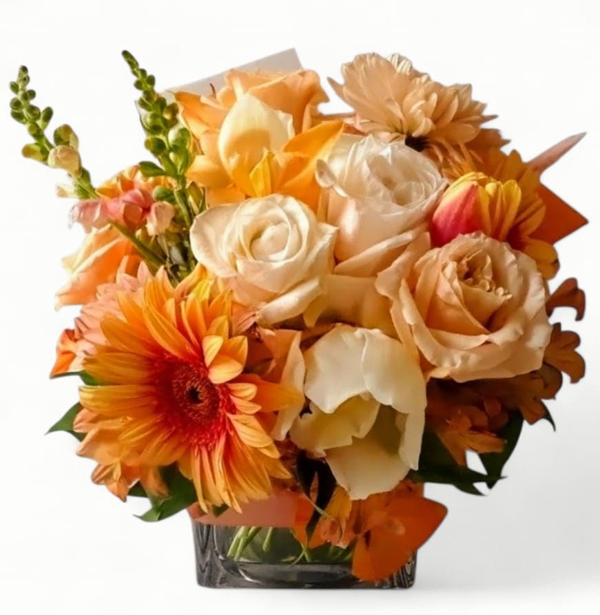 Orange Peach Beauty Designer's Choice - Daisies and more arranged in a modern glass cube vase wrapped in peach jute ribbon adorned with a lovely butterfly. Perfect to send today to make them smile. Always made unique and extra special. Send happiness.