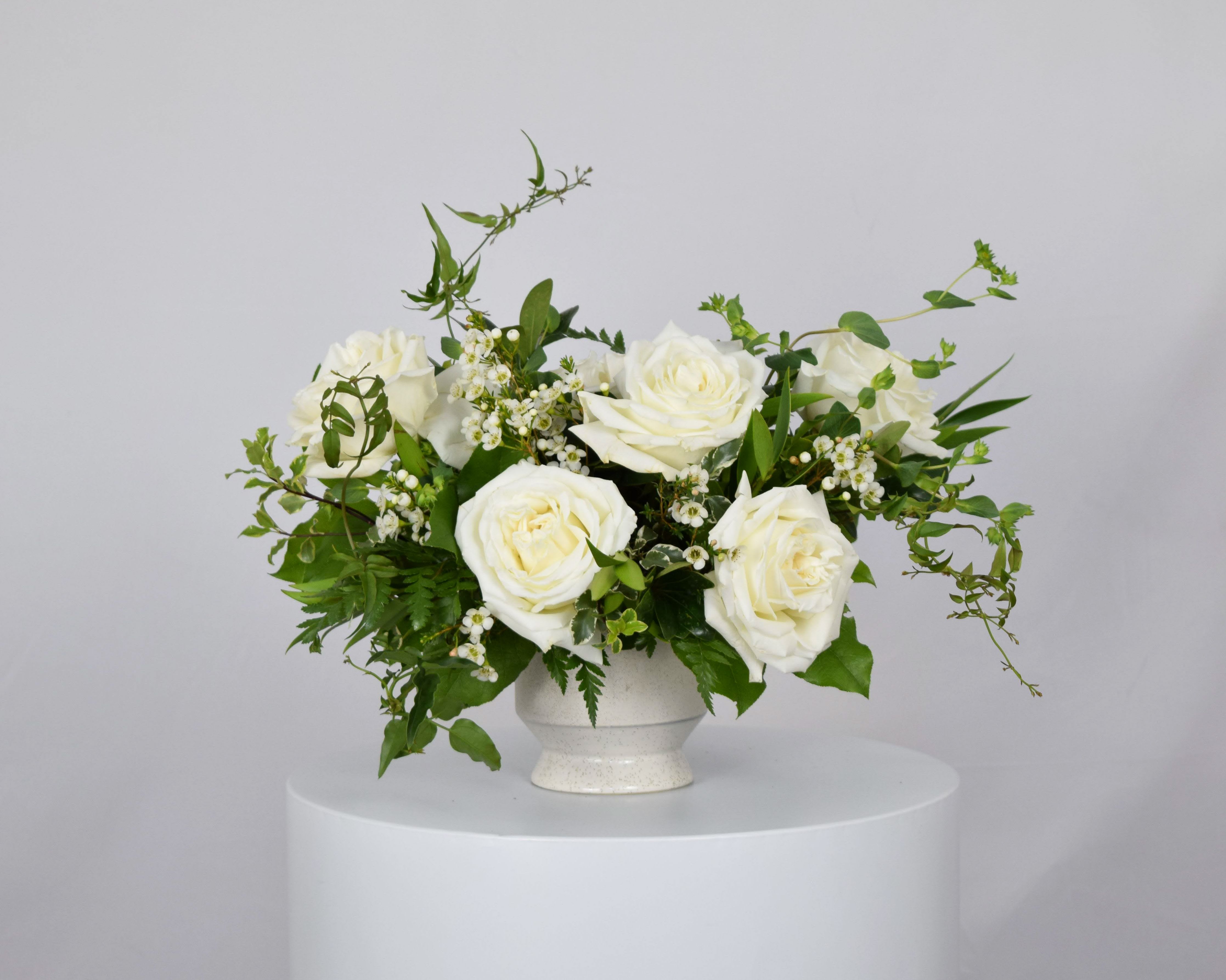 White roses arranged in a white vase with greenery