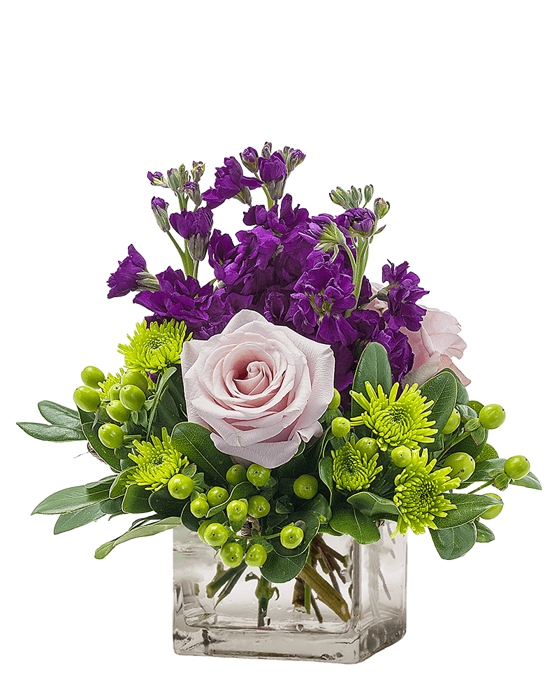 My Anna Marie - My Anna Marie is a sweet pop of purple with lovely lavender roses, purple stock, and bright green accents in a clear glass cube container appropriate for a coffee table or desk.