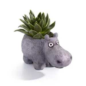 Hazel the House Hippo Planter by Gisele Kratzner by Blob House with Tillandsia Air Plant or Succulent - A playful purple hippo-shaped planter that brings a pocket of green charm to any desk, shelf, or windowsill - perfect as a housewarming gift, birthday surprise, or a just-because pick-me-up. This whimsical succulent arrangement reads casual and cheerful; the hippo planter by Gisele Kratzner (Blob House) naturally suggests personality and warmth, so the person you're thinking of will feel noticed and amused every time they catch those big cartoon eyes.  A compact green succulent (or air plant, as available) nestles in the textured, stone-like gray hippo planter accented with subtle purple and black tones in the finish. The rounded snout and playful proportions make it an easy-care accent for small spaces where a full bouquet would overwhelm. Sized for desks and shelves, this novelty planter requires minimal maintenance - bright, indirect light and occasional watering for the succulent or misting for an air plant - making it a low-effort way to brighten someone's day.