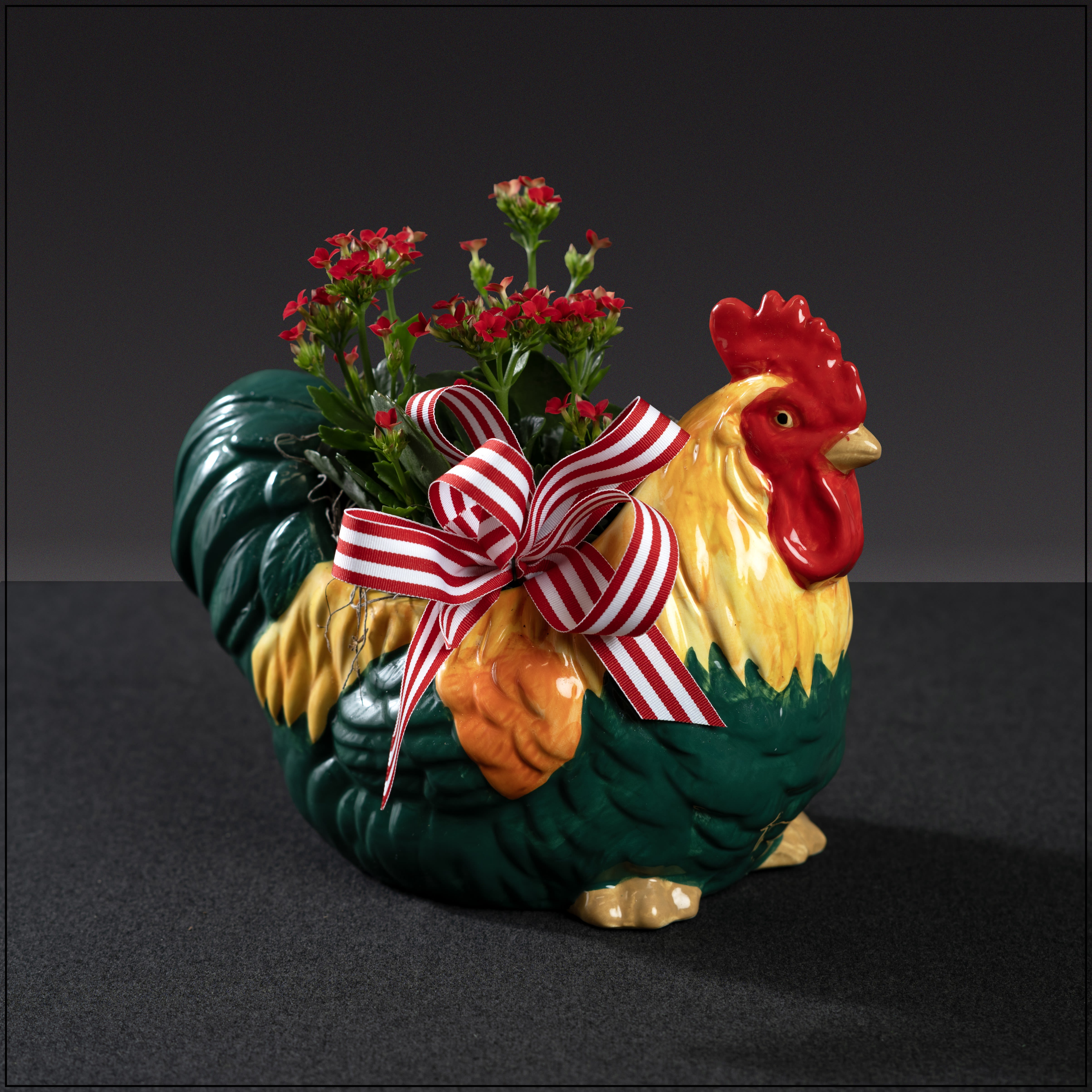 Rooty - A vibrant and fun rooster planter with a hearty kalanchoe plant.