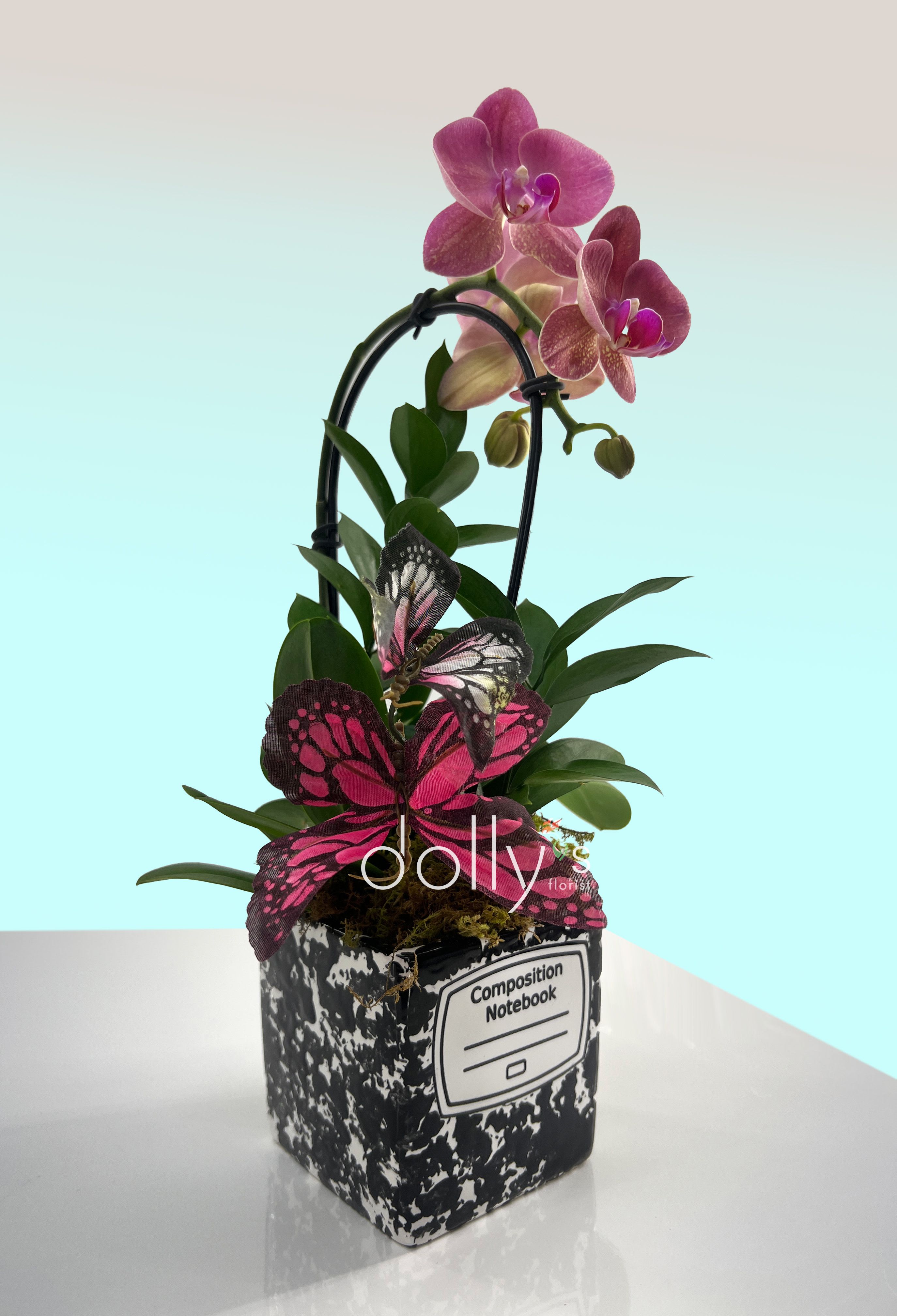Mini Orchid with Butterfly - A cheerful pink Phalaenopsis orchid plant paired with playful butterfly decorations makes this mini orchid arrangement a delightful gift for a teacher, student, or anyone who loves a whimsical desk accent. Perfect as a birthday bouquet alternative, a back-to-school surprise, or a get-well pick-me-up, the upright orchid blooms and large butterflies create a joyful focal point that says you're thinking of them.  The Phalaenopsis orchids appear in soft pink set against glossy green leaves and rest in a black-and-white decorative container styled like a composition notebook. Silk elements and three oversized butterflies in pink, black, and white add texture and movement, while a discreet wire handle provides easy carrying and display versatility. Compact and graphic, this piece brings color and charm to a desk, shelf, or small entry table.  Send this to the person you want to brighten - it reads as both thoughtful and fun, the kind of gift that makes someone feel noticed and celebrated. The arrangement is small and easy to care for; place it where it gets bright, indirect light and water sparingly to keep the orchid healthy.