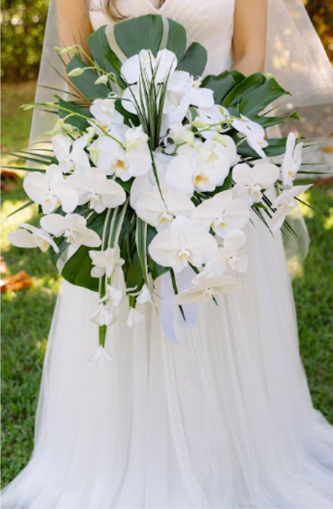 Bouquet waterfall - Bouquet waterfall