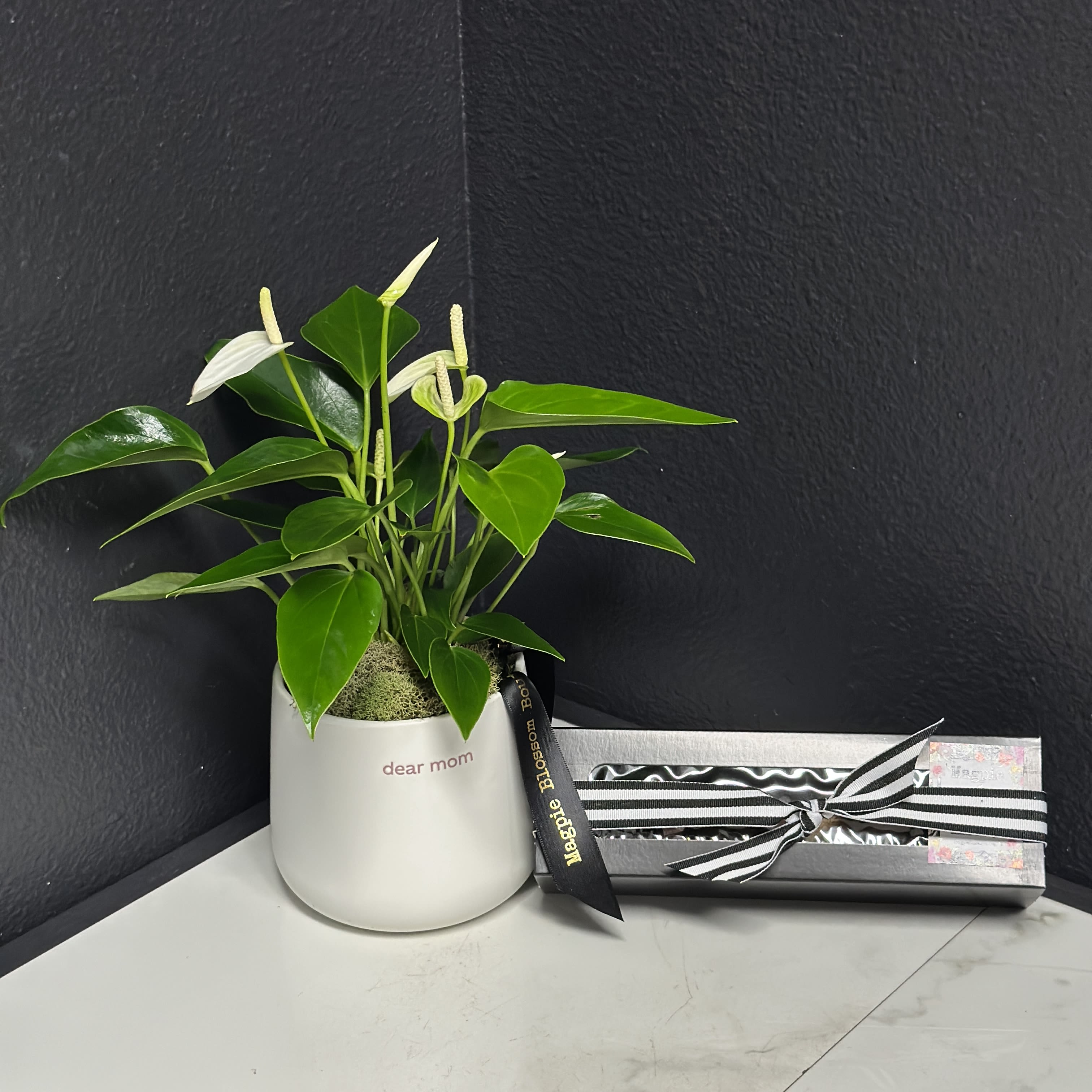Dear Mom Anthurium Plant + Truffles  - Sometimes parents need a reminder that their kids (or plants) are turning out great. What better way than a daily reminder stamped in pink on a white glazed pot? With cheeky verbiage, beginning with "dear mom" on one side &amp; "good job, I turned out perfectly" on the other side. We've filled this simple, classic drop-in pot with a cute little plant and paired it with our delicious chocolate truffles for a great Mother's Day, birthday or just because gift. Plant/flower color may vary.  Pot size 4.25"x 4.25"
