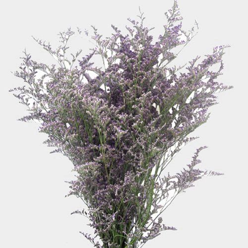 Loose bouquet of small purple filler flowers