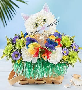 Luau Kitty - A tropical kitty handcrafted with white carnations, bright blooms and luau accessories. 