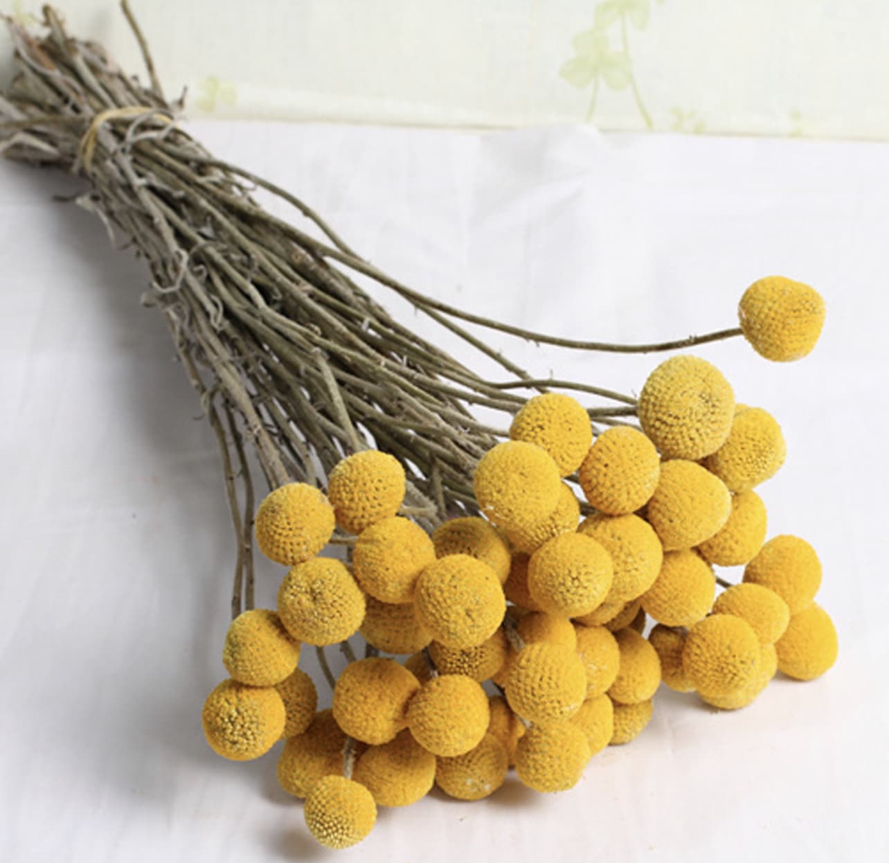 Bundle of long-stemmed yellow spherical flowers laid on a white surface