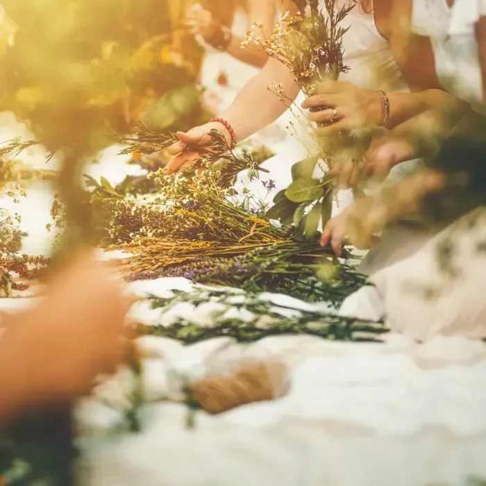 Feb 8 • Sip &amp; Trim | Galentine's Edition Workshop SOLD OUT - Join us at Lizette's Floral Studio in Ooltewah for a hands-on Sip &amp; Trim | Galentine’s Edition Workshop on Sunday, February 8, perfect for beginners, creatives, and anyone who loves flowers and fun with friends. In this workshop, you’ll refresh and arrange blooms while enjoying light refreshments in a relaxed, social setting.  Whether you're coming solo or with your besties, this is a fun way to celebrate friendship and creativity. Our expert instructors will guide you step-by-step through floral techniques like trimming, arranging, and balance, so you leave with both a beautiful arrangement and floral design skills you can use again and again.   Drinks, tools, and all materials included. No experience necessary.  What You’ll Learn:  How to prep and arrange fresh flowers into a cohesive, beautiful design  Basics of floral balance, color pairing, and shape  Tips for long-lasting, professional-looking arrangements  Limited spots available — book your seat for this Galentine’s floral workshop in Ooltewah today!  Date: February 8, 2026 Time: 3:00 – 4:30 PM Price: $88 per person Location: Lizette’s Floral Studio Product ID: Sip-Trim-Galentines-Feb-8  Product ID: Sip-Trim-Galentines-Feb-8 