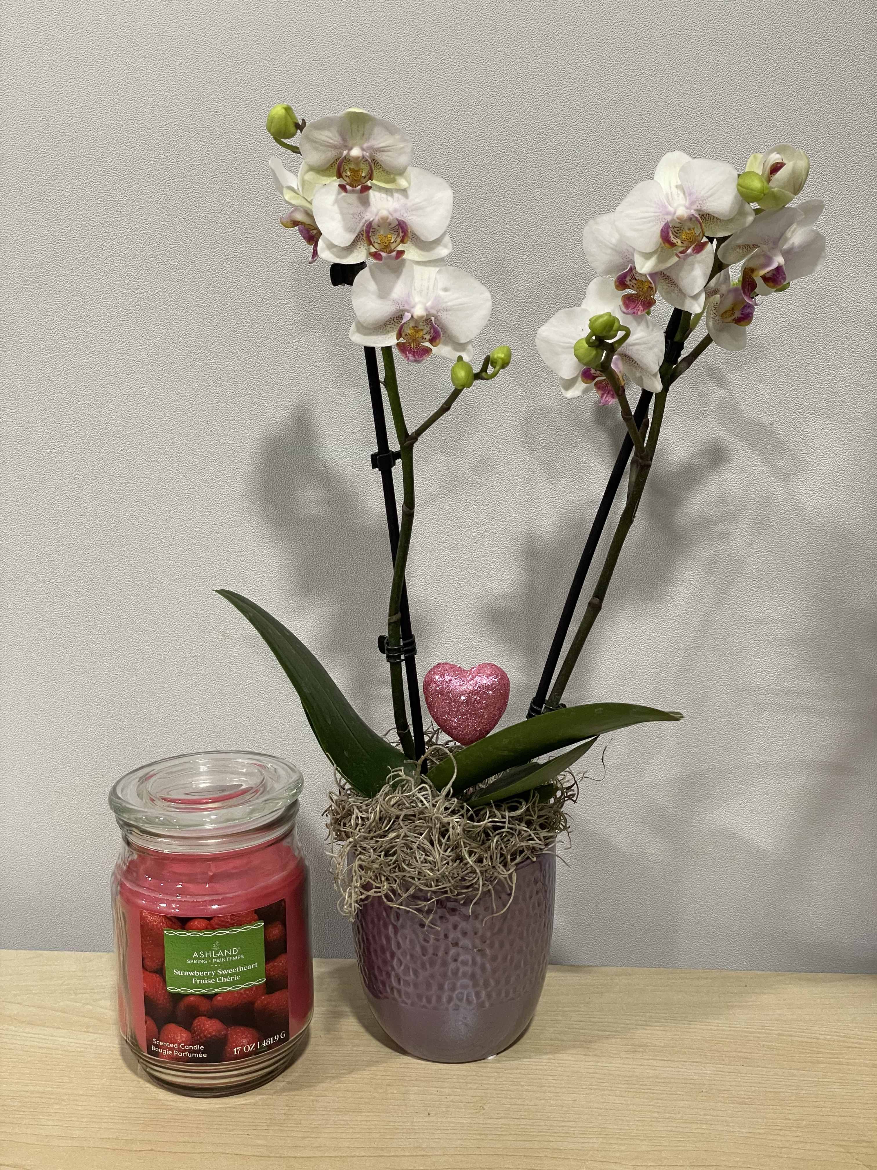 White orchids in a purple pot beside a pink candle jar