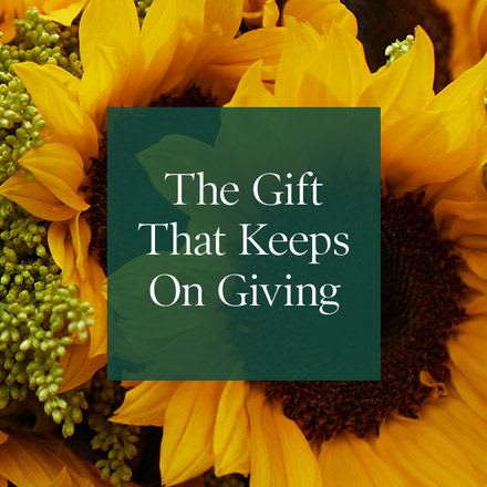 Yellow sunflowers with a green card reading "The Gift That Keeps On Giving"