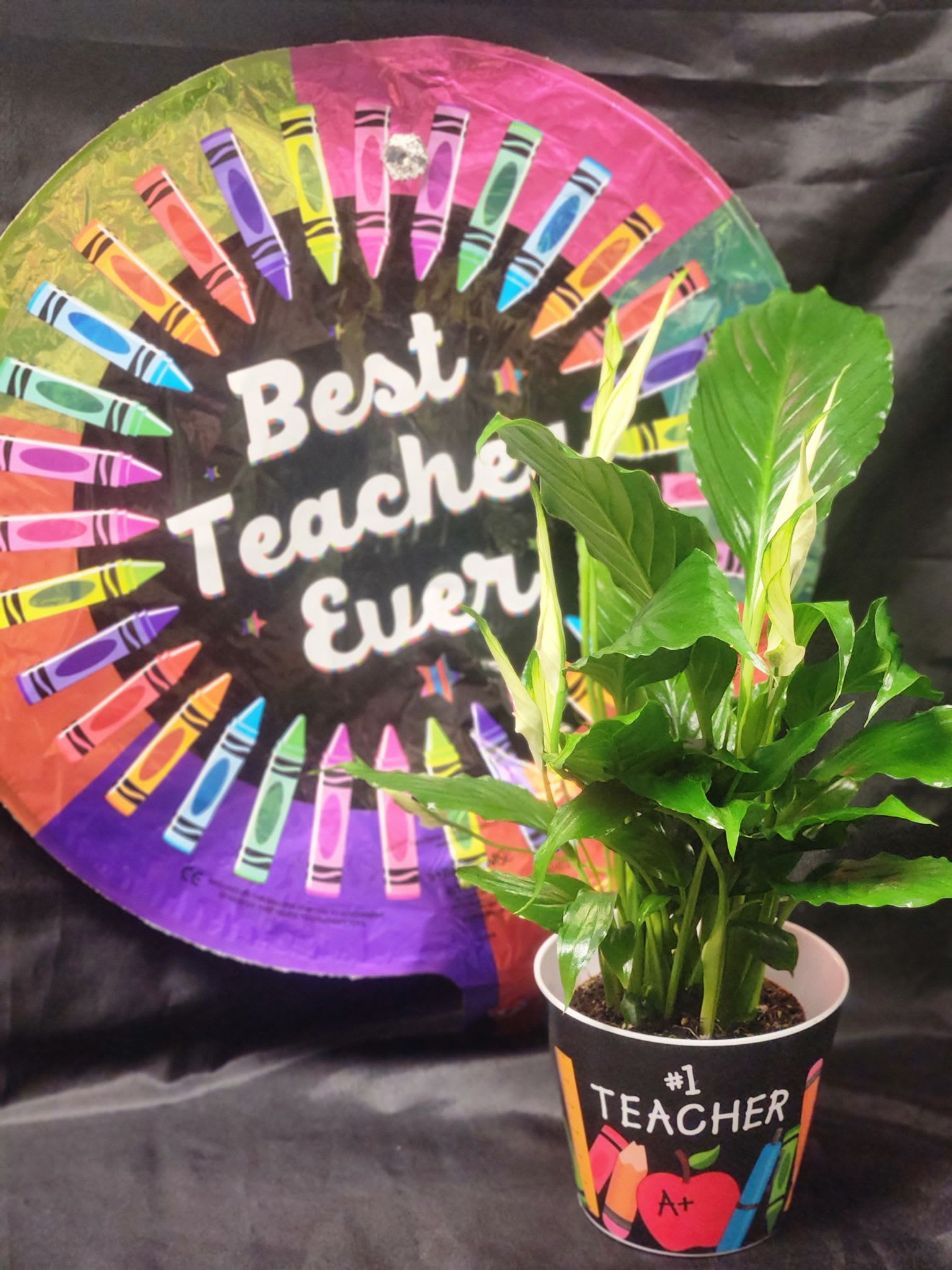 Best Teacher Bundle  - The Best Tracher Bundle features a desk sized plant in a keepsake melamine “Best Teacher” container and a 17” Mylar balloon. So thoughtful and easy! Schools automatically get priority delivery to accommodate schedules. 