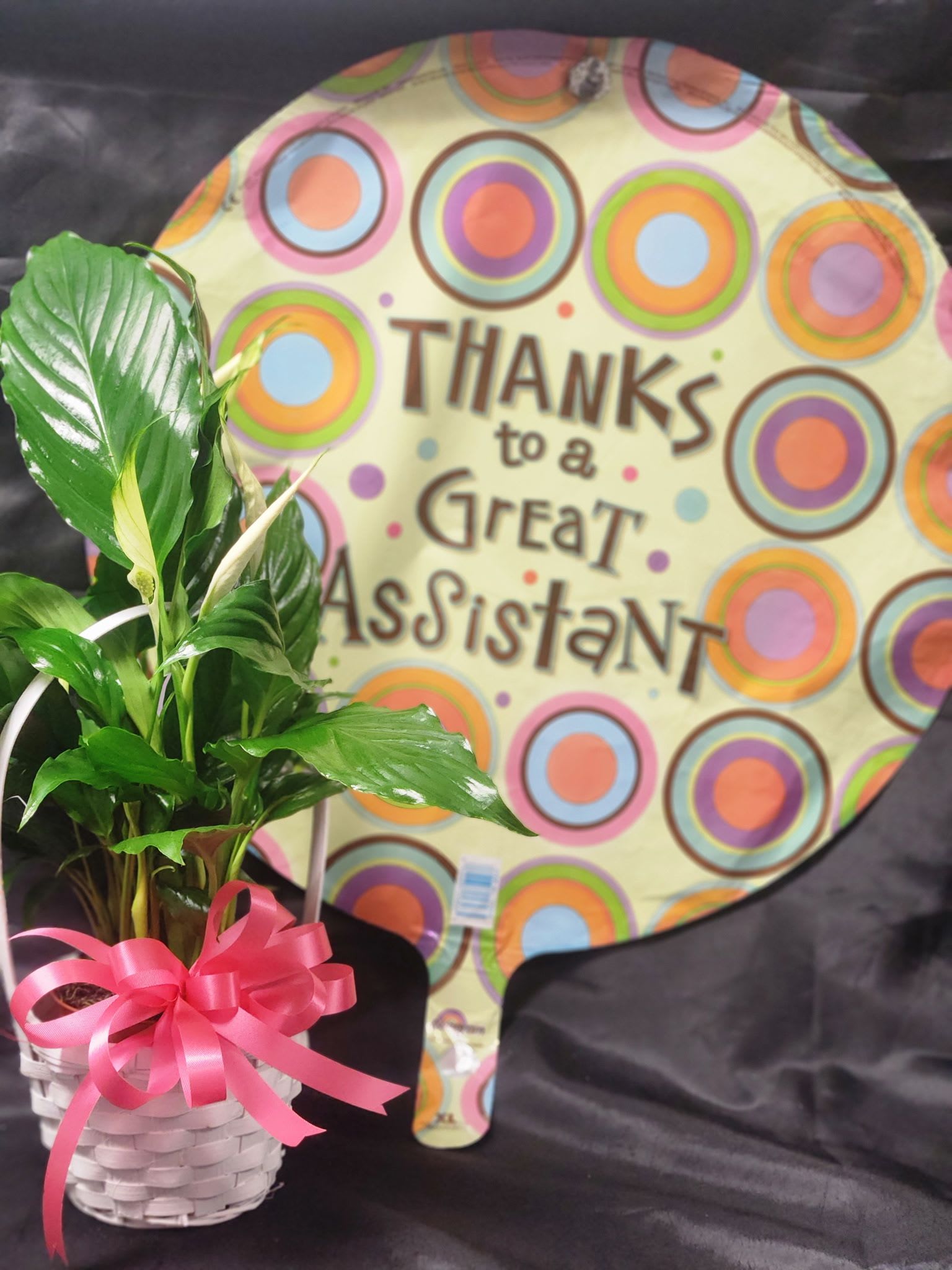 Administrative Assistant’s Day Bundle - Let your support staff know how much you appreciate them with a sweet gift! Choose between flowers or a plant, topped off with a Mylar balloon. Let us know in the special instructions if you’d like the flowers or the plant please! 