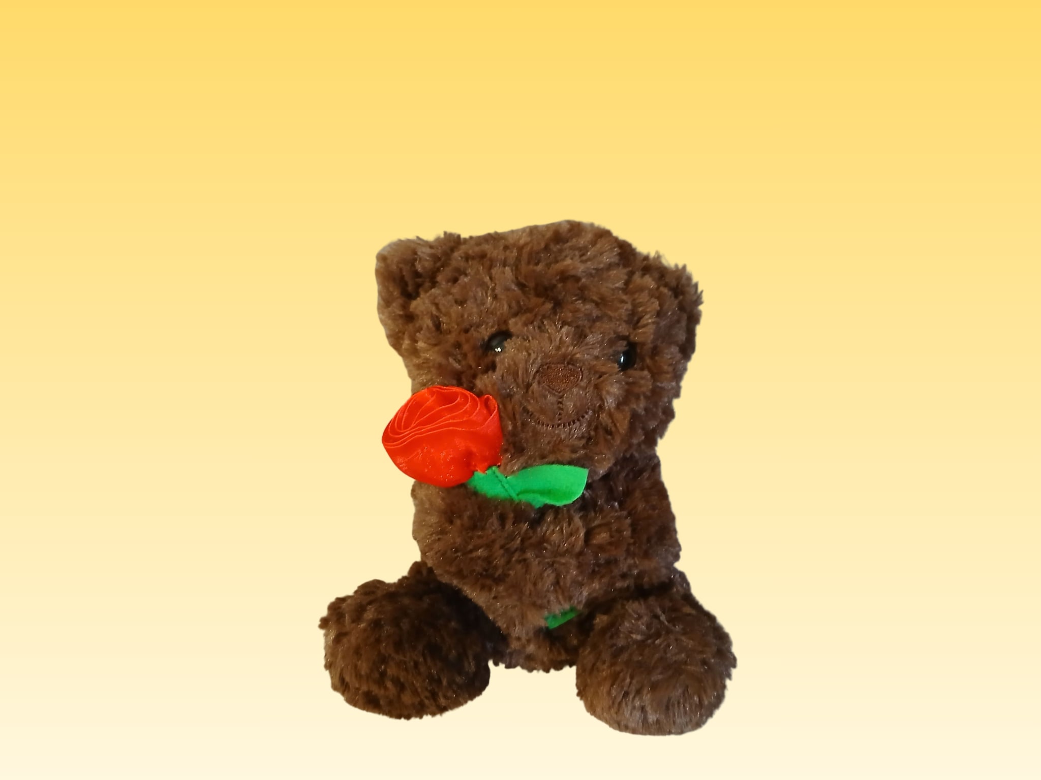 Brown teddy bear holding a red rose