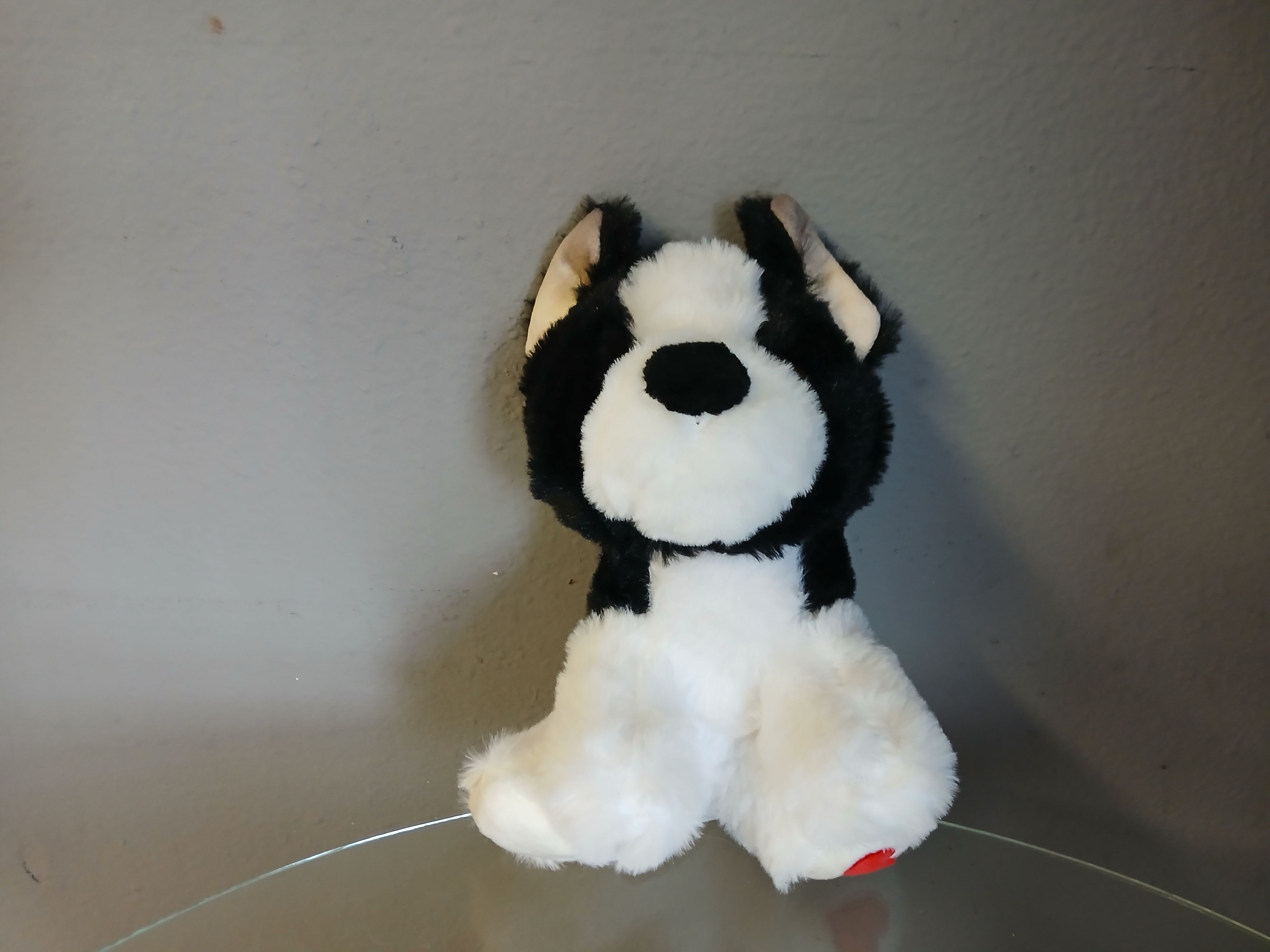 Black and white plush dog sitting on a glass surface