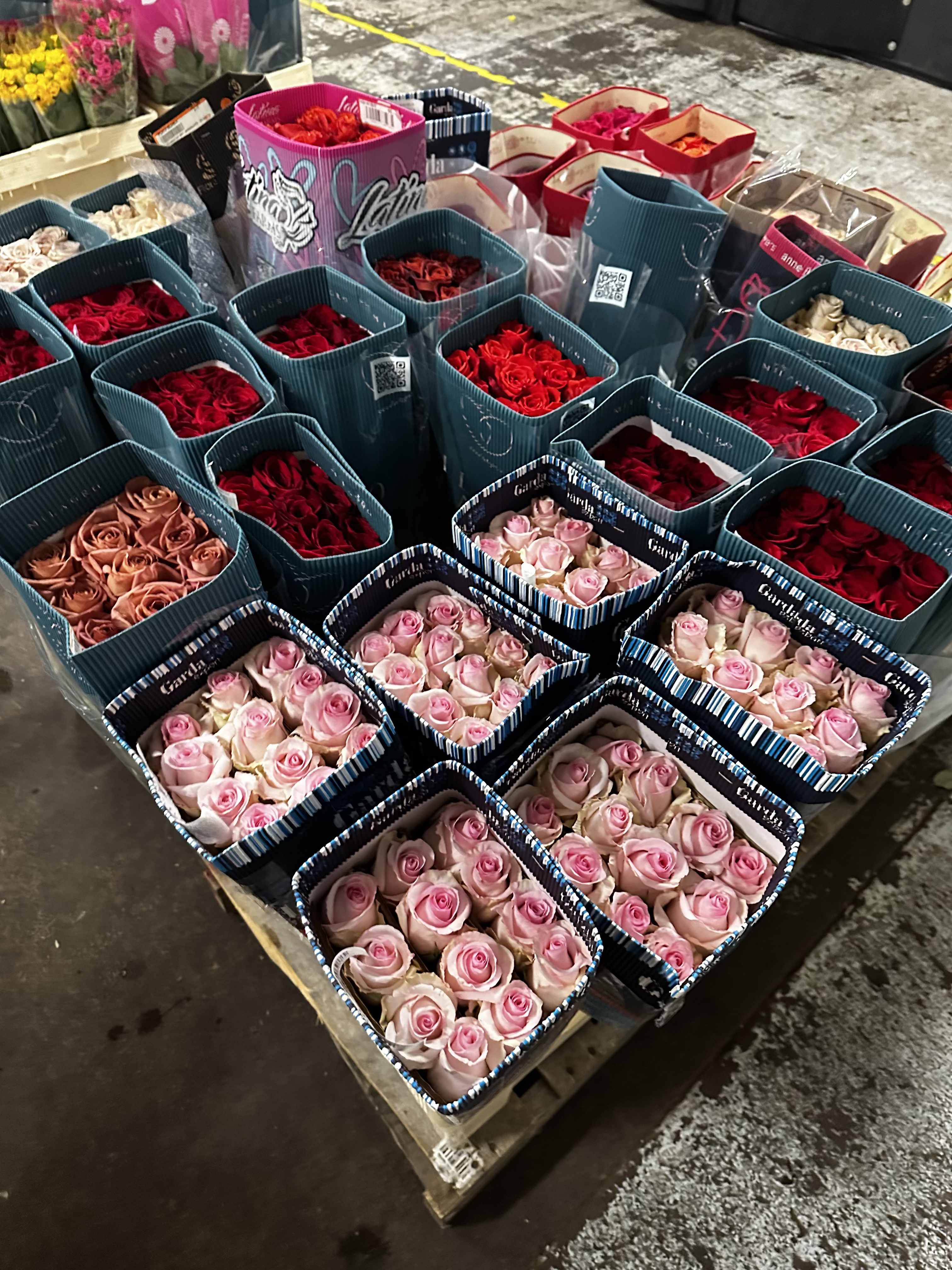 Assorted roses arranged in square gift boxes on a pallet