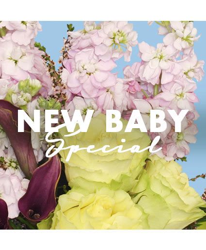New Baby Special Designer's Choice - There’s no better way to celebrate the new arrival than with our New Baby flowers! Show your excitement to the happy parents with flowers that are almost as beautiful as the little one. Surprise them with another piece of brightness to celebrate their newest addition. Send our New Baby Special today!