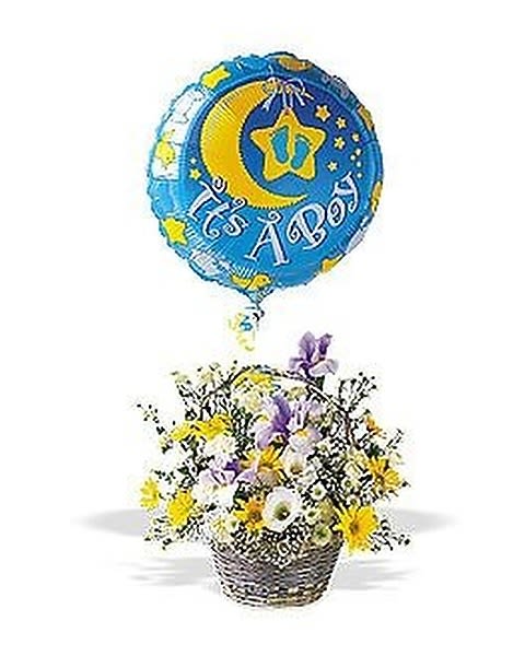 "It's A Boy!" Basket - What a joy it is to have a boy! With this bright, stylish arrangement, they?ll know just how excited you are about their new arrival. Carnations, chrysanthemums and iris in a darling wicker basket arrive with an attached ?It?s a Boy!? foil balloon  