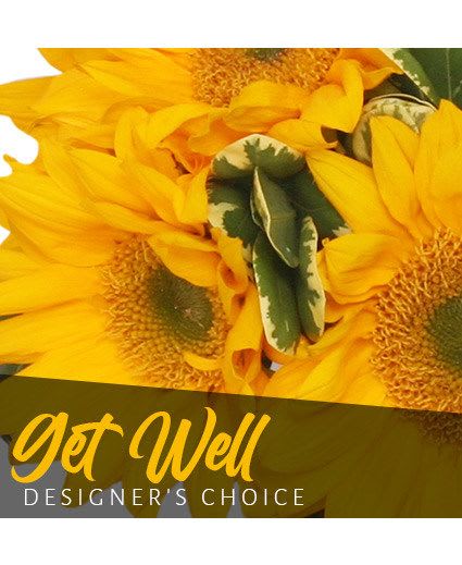Get Well Bouquet Designer's Choice - There’s nothing better than receiving flowers when you’re feeling under the weather! That’s why our expert florists have designed beautiful get-well flowers to brighten their day. Make them feel a little better with this stunning flower arrangement!