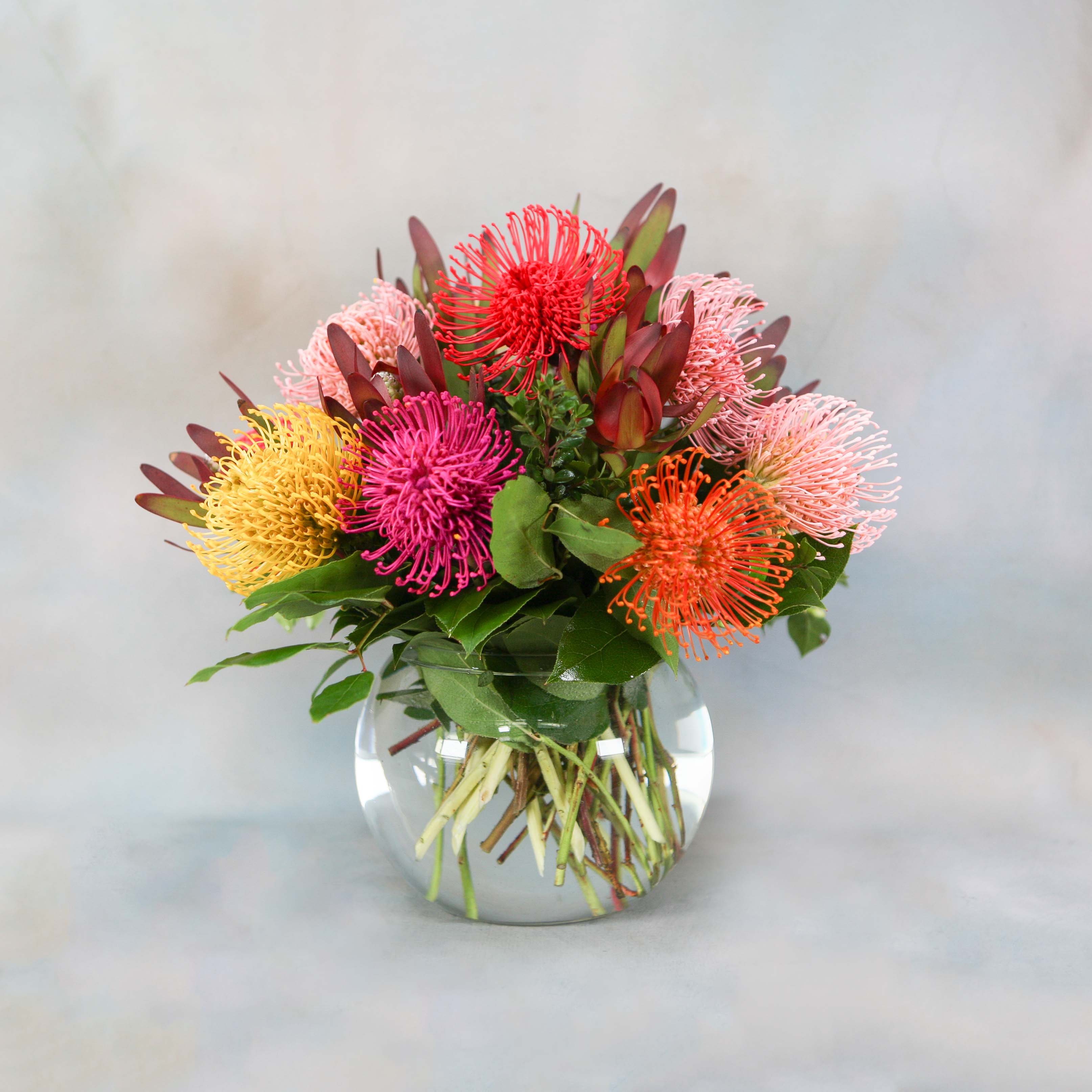 Pincushion Protea Mix (SF413) - Our newest design for you tropical lovers this Mother's Day.  In this arrangement: - Sprayed Pincushion Proteas - Lemon Leaves - Safari Sunset 