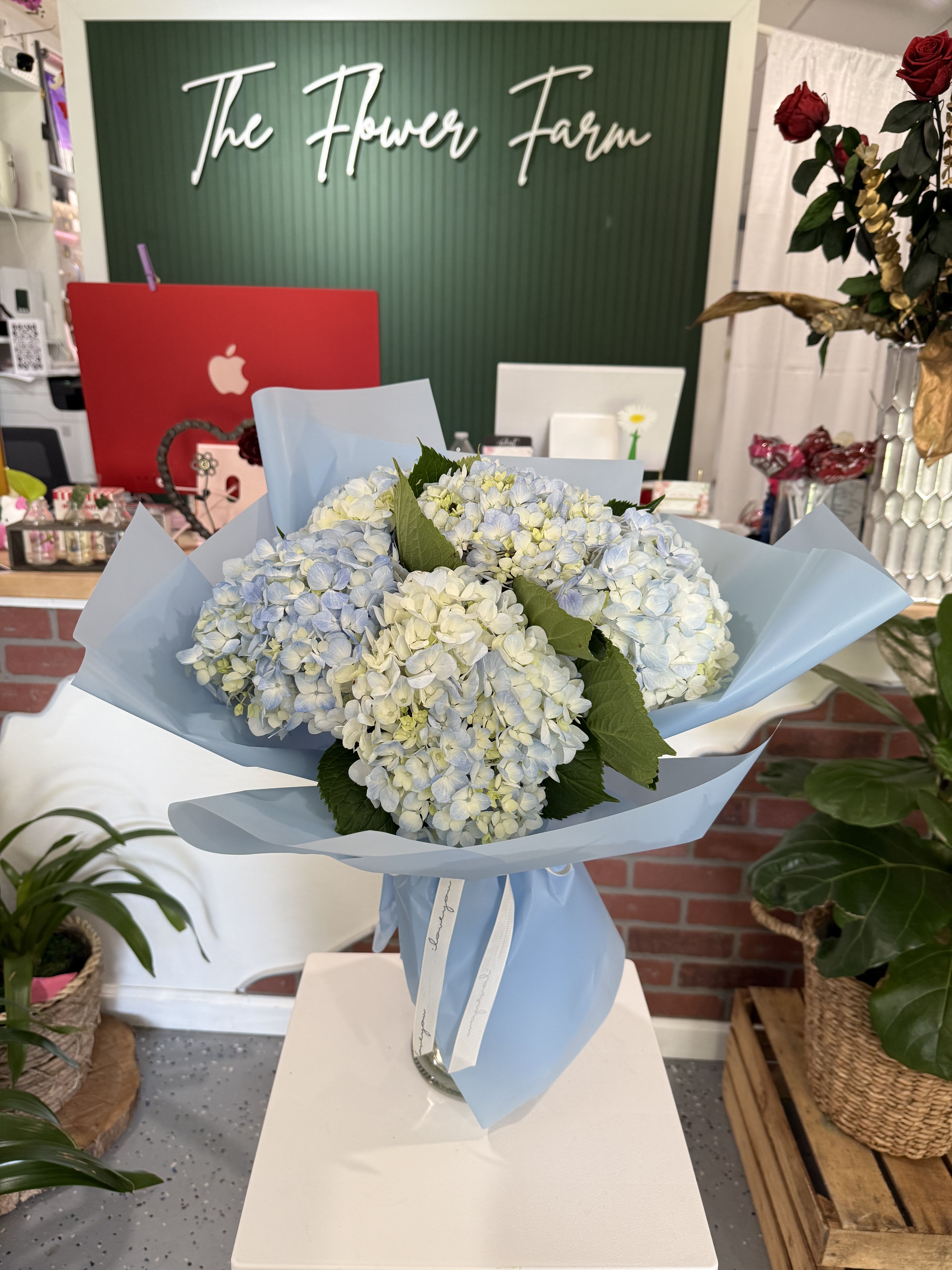 Bouquet of pale blue and white hydrangeas wrapped in light blue paper