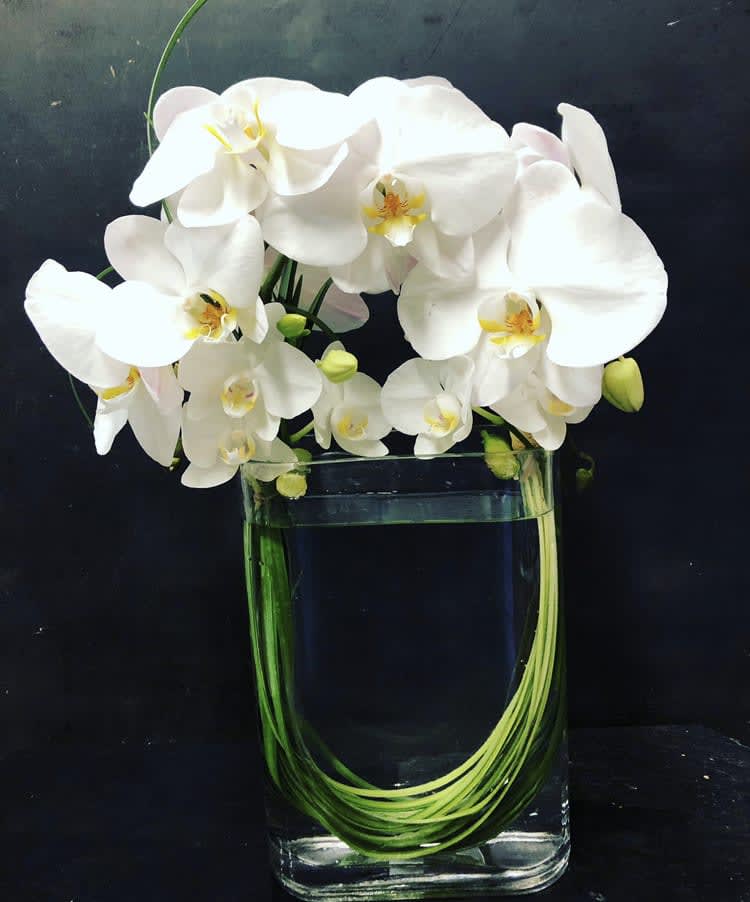 White orchids arranged in a clear glass vase