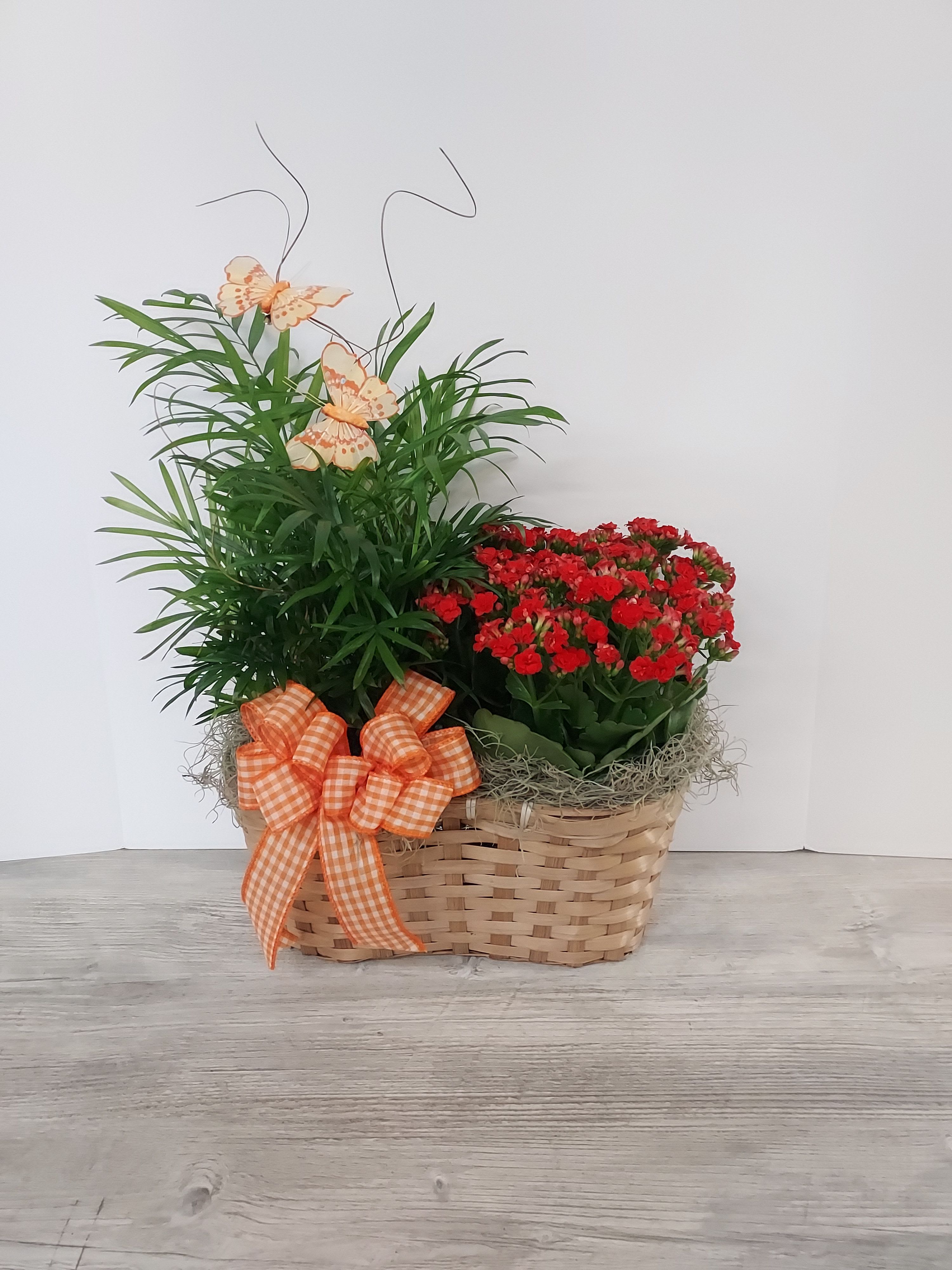 Basket planter with red flowering plant, leafy green plant, orange bows, and decorative butterflies