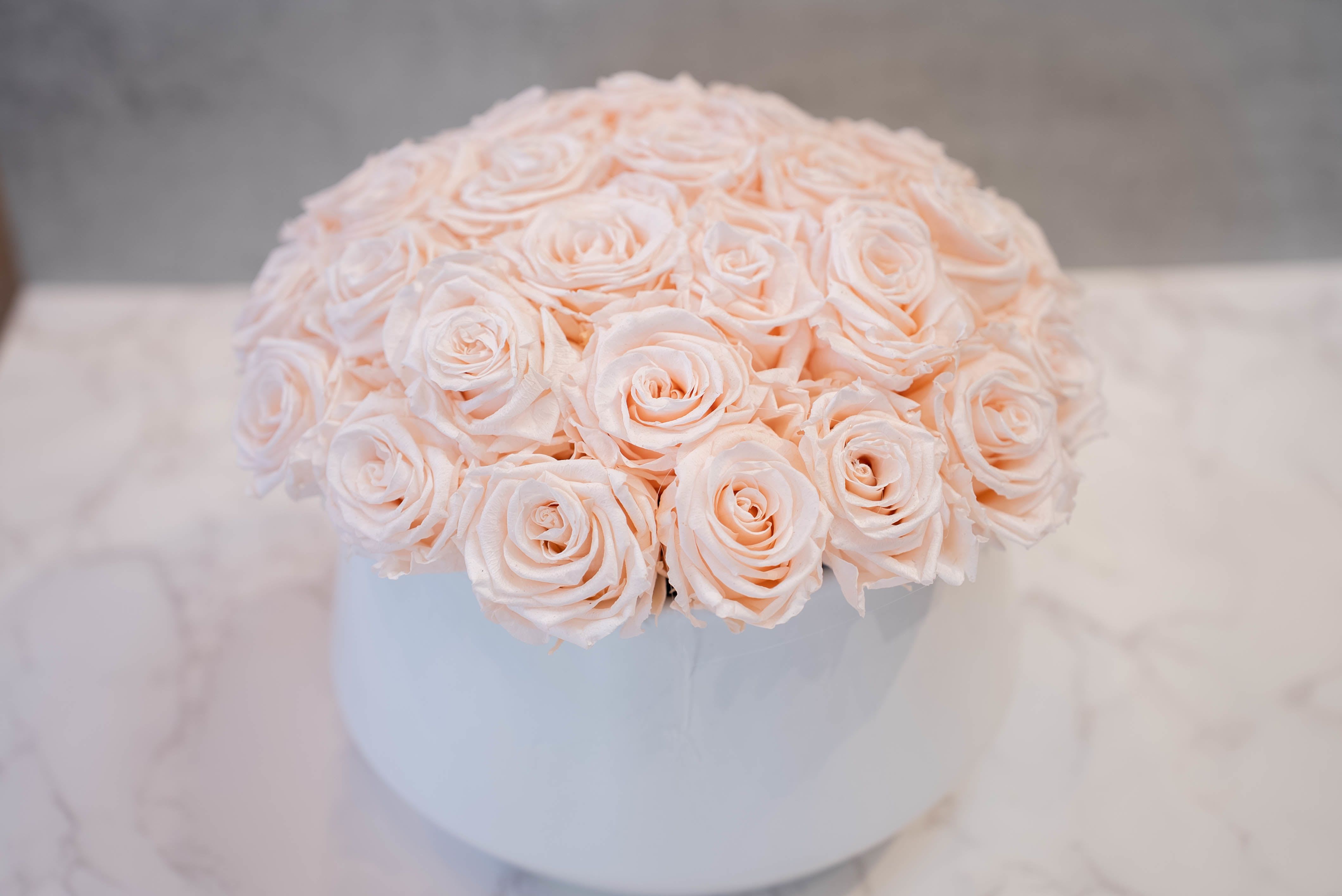 Blush Roses in round white container  - High end preserved roses, custom designed by hand in our local shop