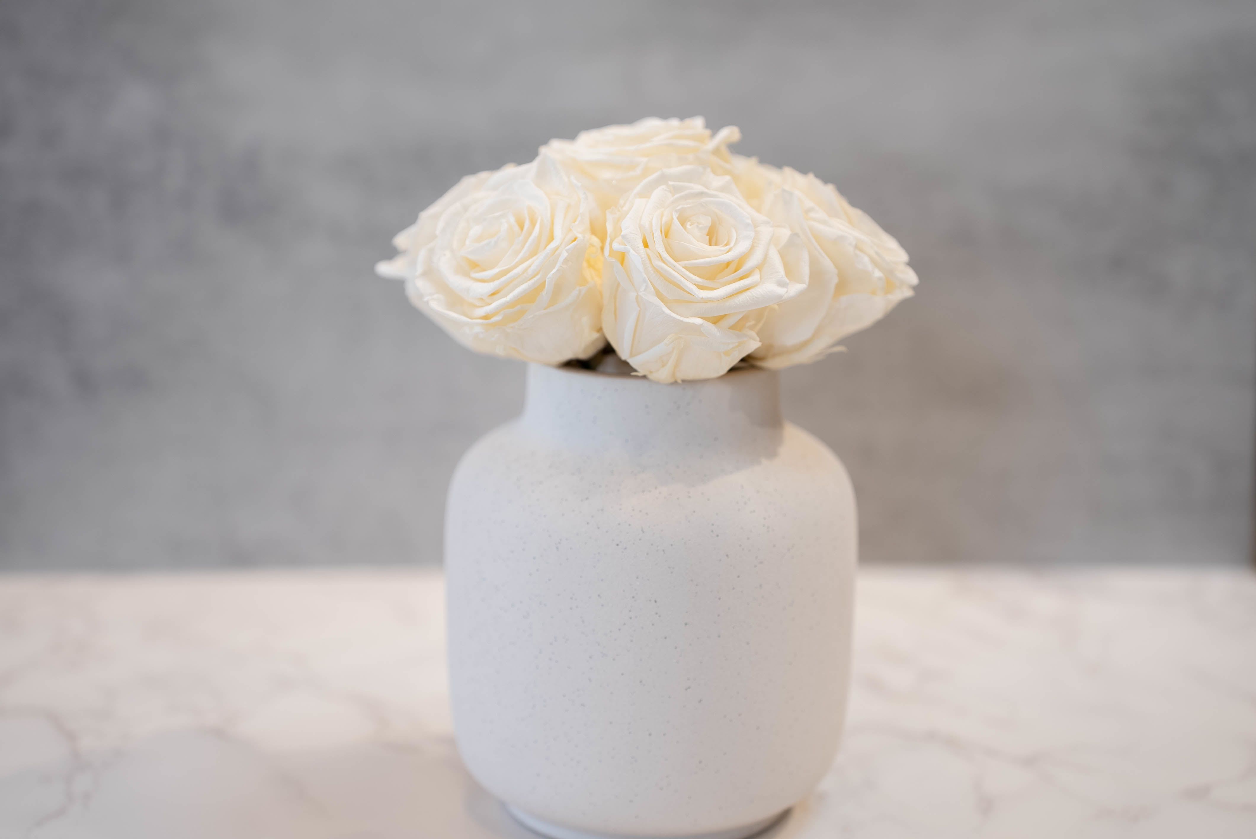 Cream Roses in Speckled Vase  - High end preserved roses, custom designed by hand in our local shop