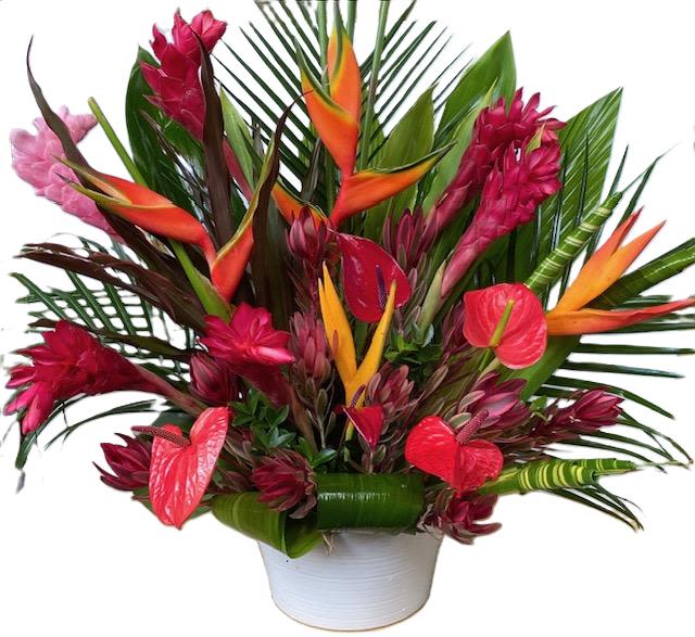 Tropical Delight - A beautiful array of tropical flowers that will make you feel just like you're in Hawaii