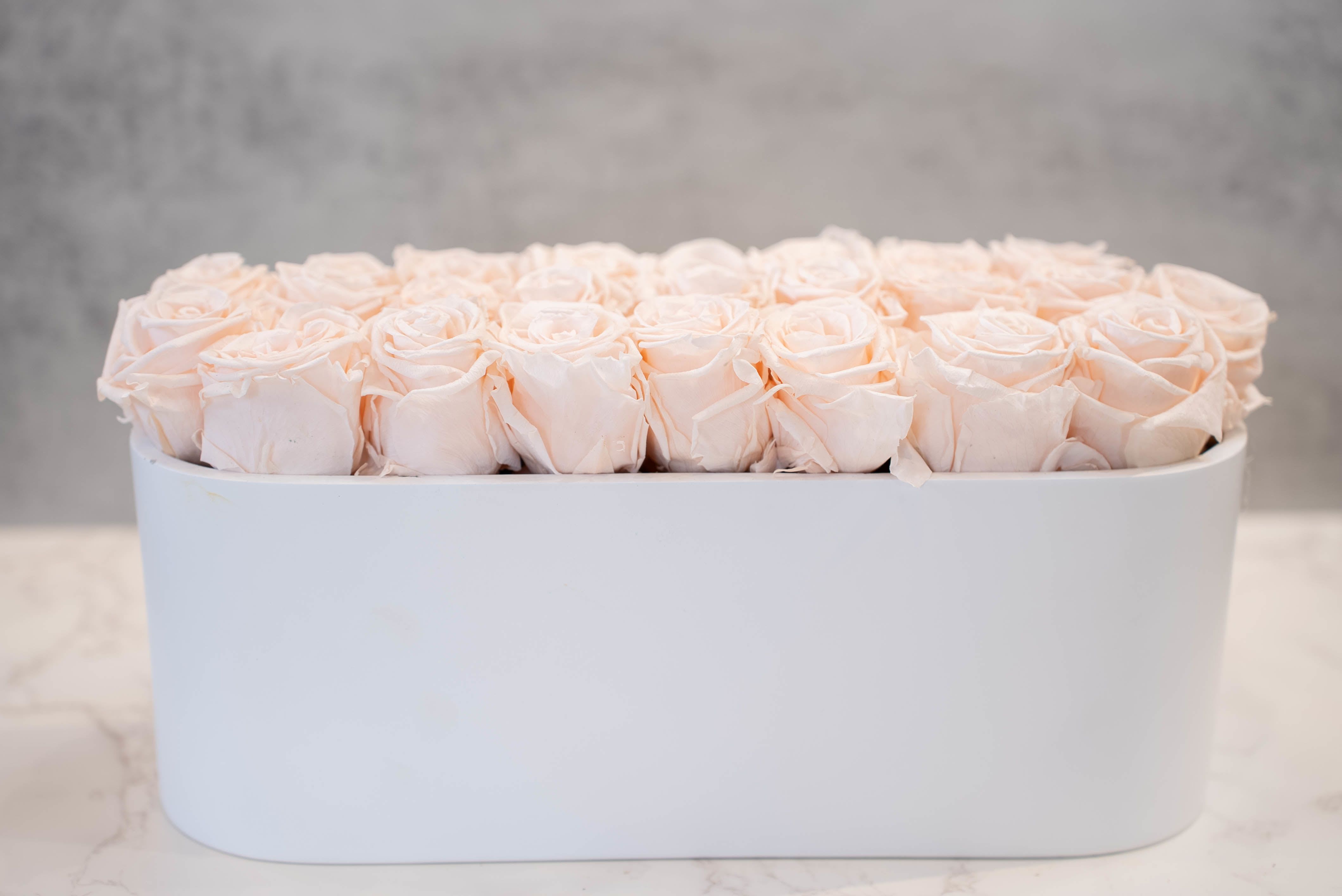 Blush Roses in Oval White Container  - High end preserved roses, custom designed by hand in our local shop
