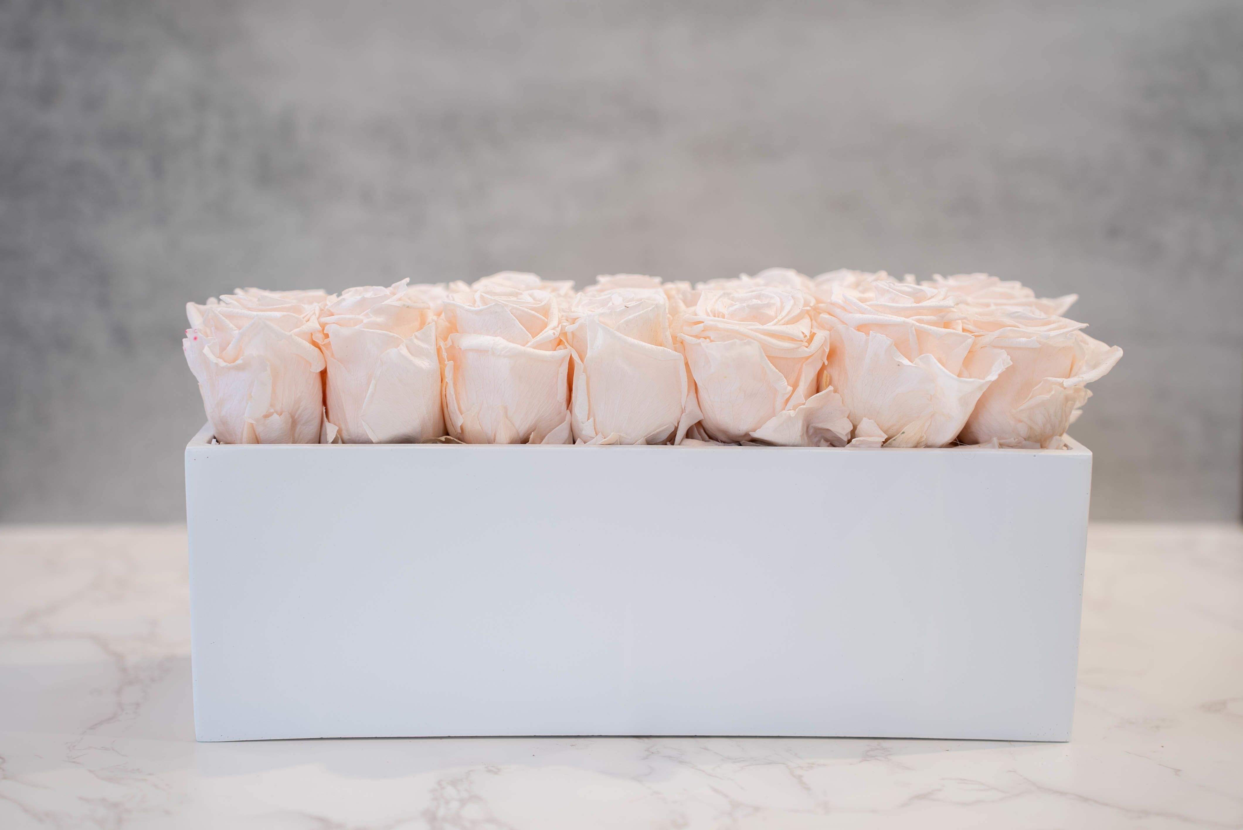 Blush Roses in white rectangle  - High end preserved roses, custom designed by hand in our local shop