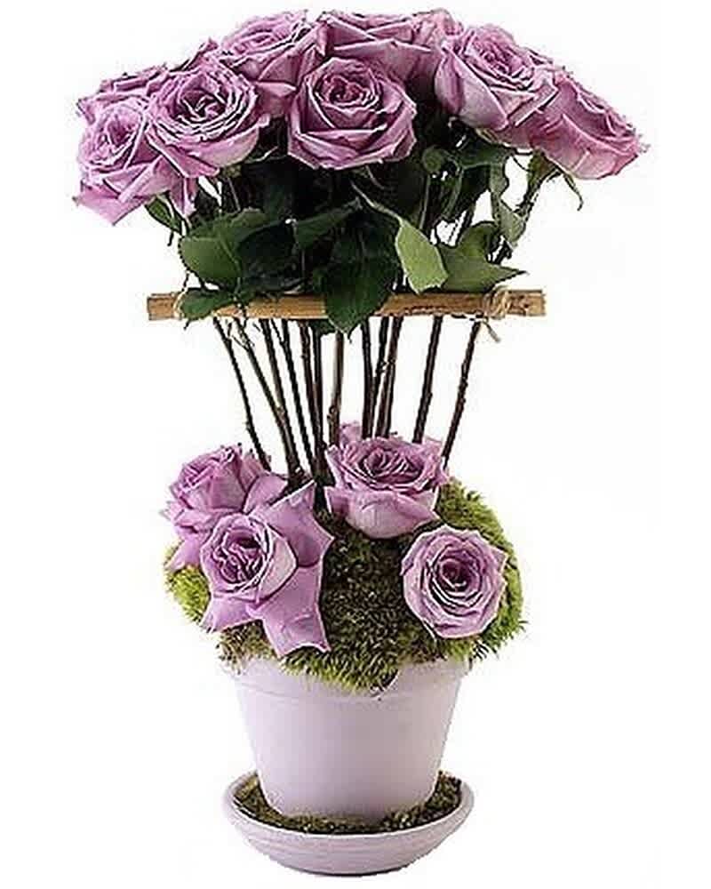 Tall topiary-style arrangement of lavender roses in a white pot with moss base
