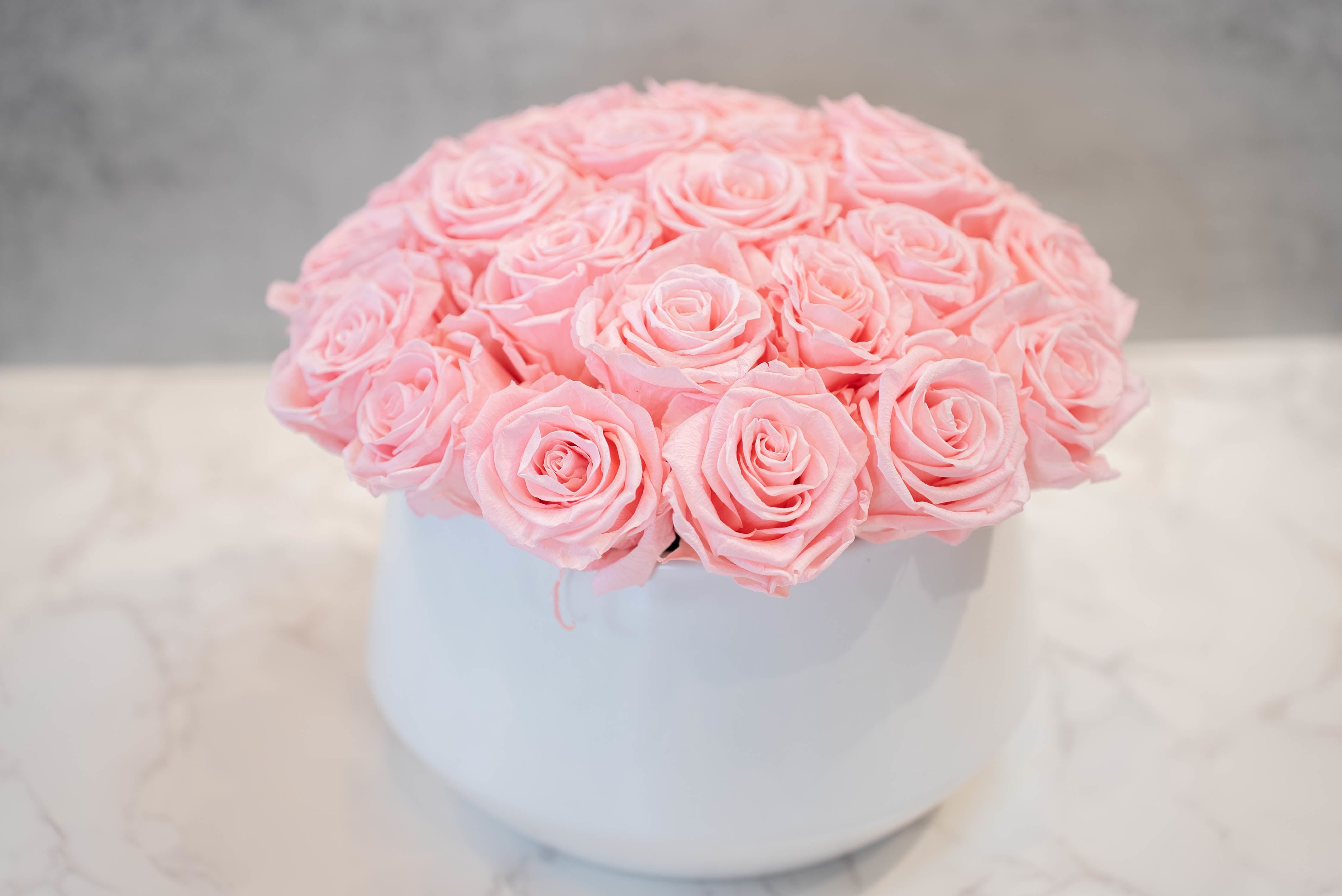 Pink Roses in Round White Container - High end preserved roses, custom designed by hand in our local shop