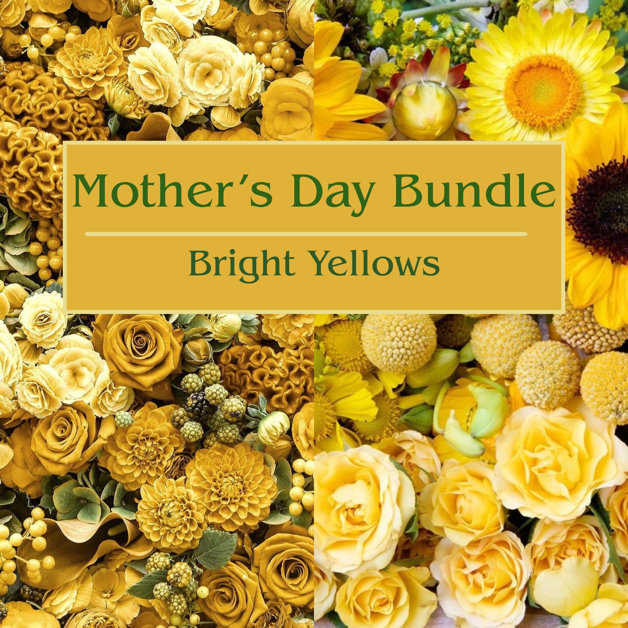 Mother's Day Bundle - Bright Yellows - Get an all in one gift this Mother's Day for your Mom!  Pick your size and we will create a beautiful one of a kind arrangement filled with Bright Yellows and Sunshine that anyone would love to keep in their home!  These bundles are the perfect way to say I Love You with a little of everything she needs!