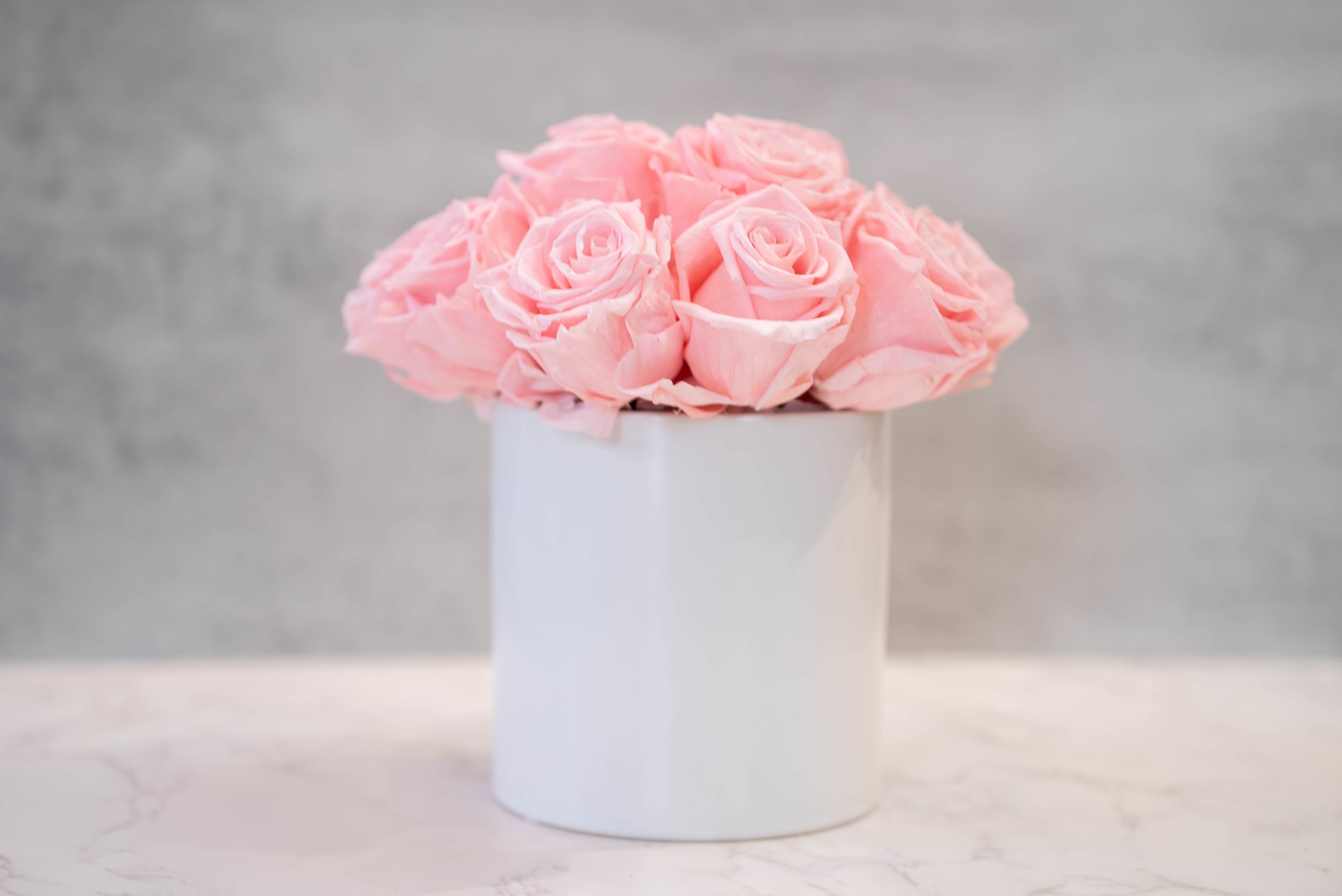 Pink Roses in White Cylinder  - High end preserved roses, custom designed by hand in our local shop