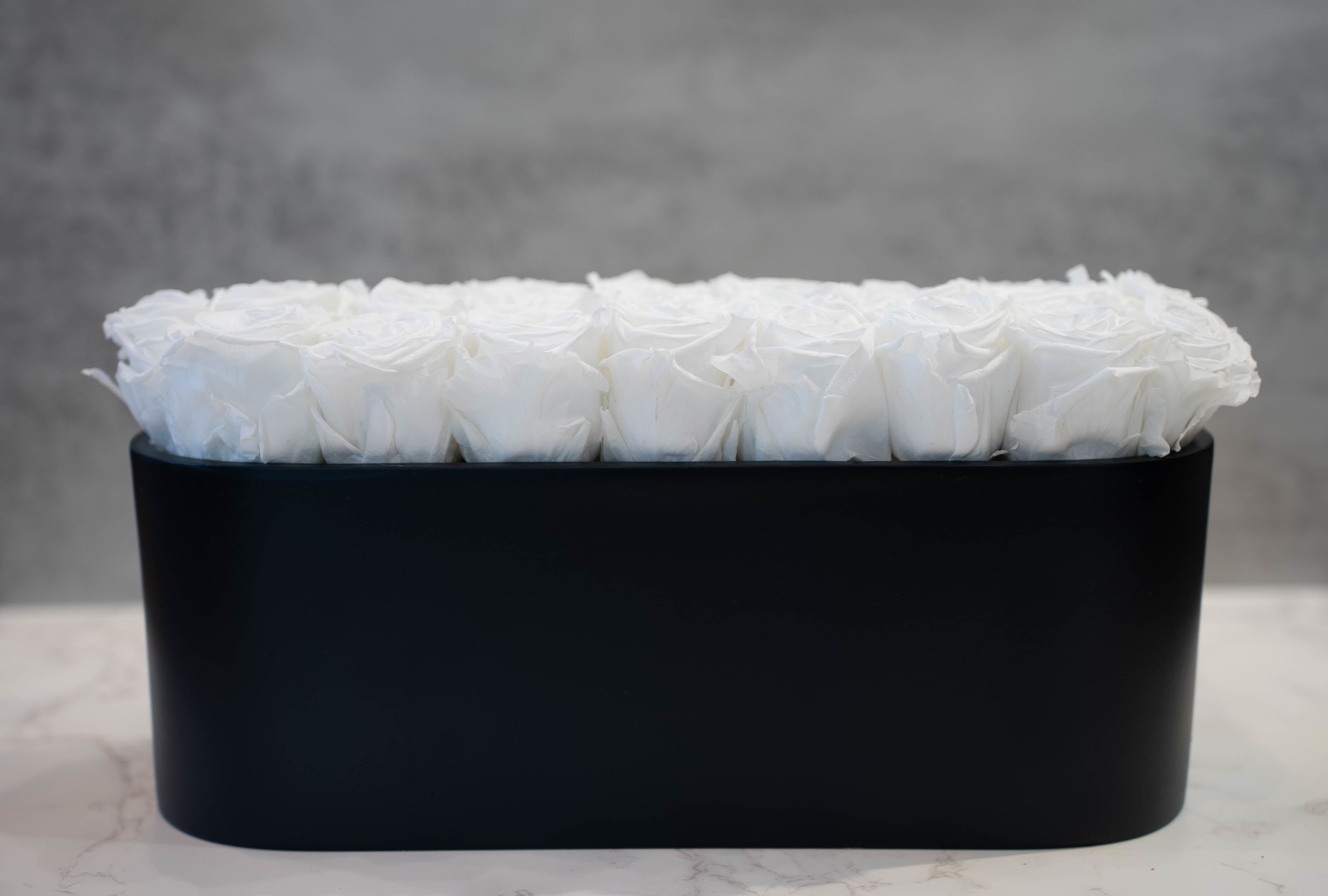 White Roses in Oval Black Container  - High end preserved roses, custom designed by hand in our local shop