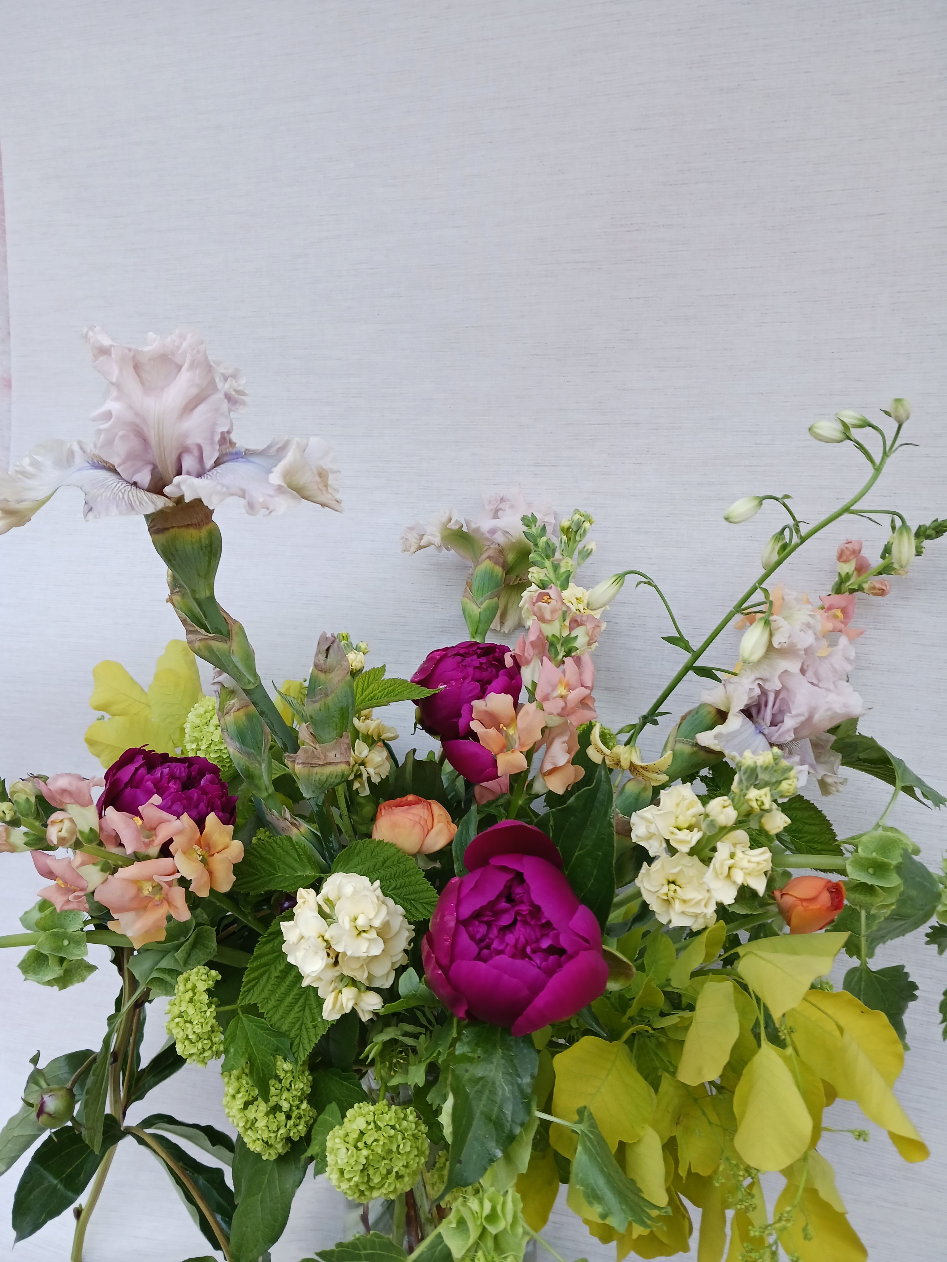 Big Spring - Designers Choice - Send a lavish mix of premium seasonal blooms.   Pictured here: bearded iris, peonies, snapdragons, snowball vibrnium, ranunculus, martagon lilies  ***Please note that Emerald Petals creates with the seasons. What you see pictured is a representation of our style and the general size of the bouquet, intentional substitutes will be made as needed as all of our arrangements are one of a kind like you **A clear vase will be used unless specified