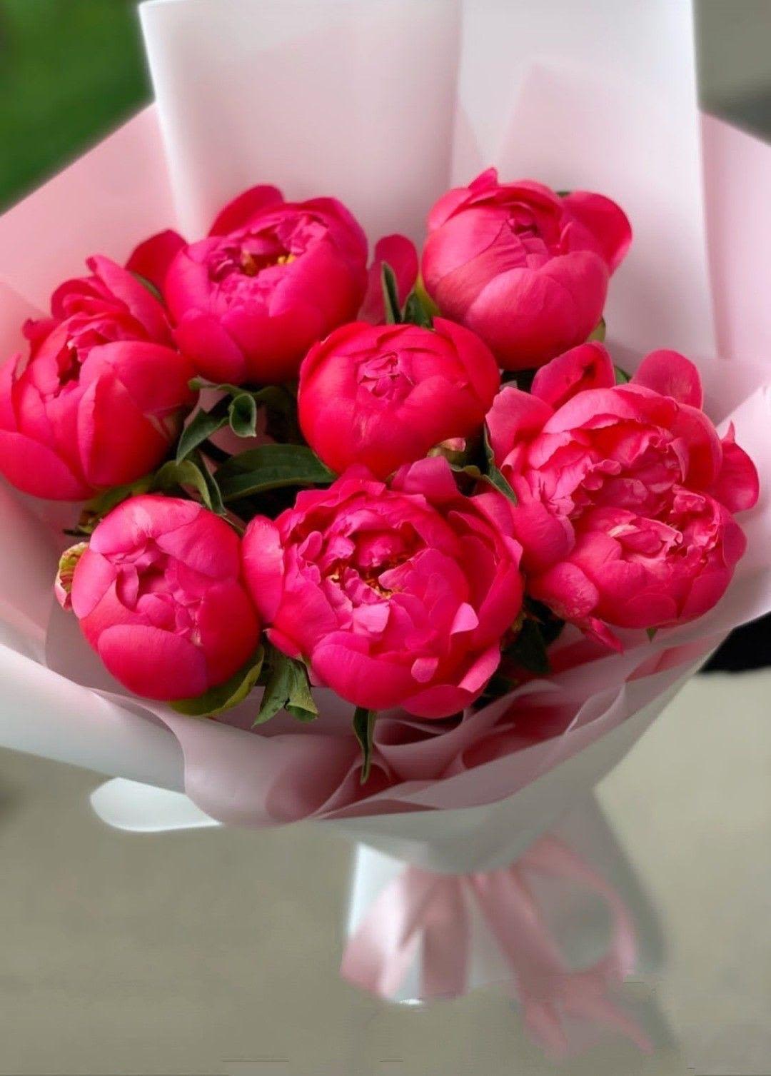 Premium Peony Bouquet (7 Stems) – Elegant Gift - Beautiful bouquet of premium fresh peonies featuring 7 stems, perfect for gifts, home décor, or a special surprise.  High-quality fresh flowers  Perfect for any occasion Note: Color may vary based on in-store availability (currently hot pink), ensuring the freshest and most beautiful blooms.