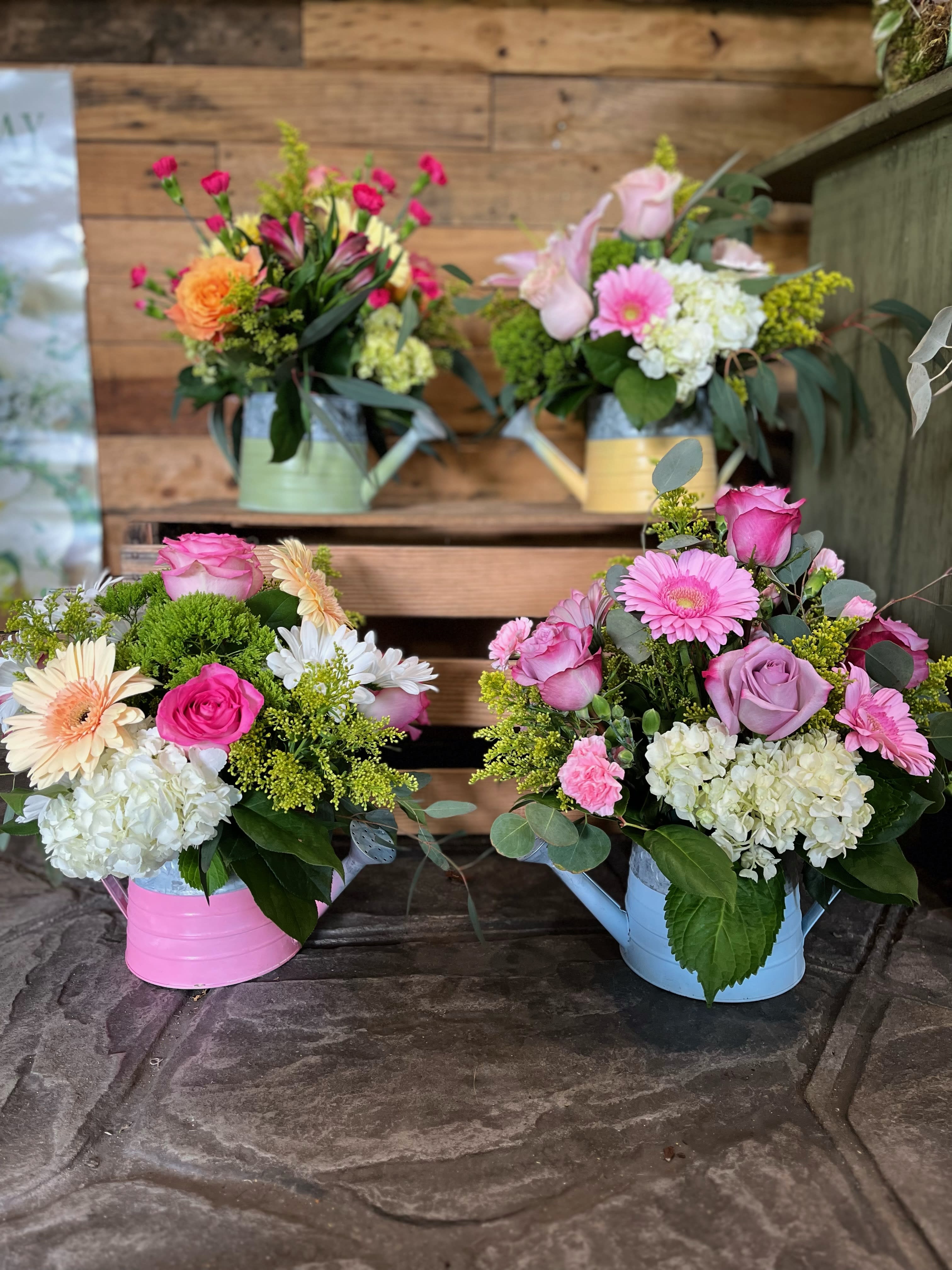 Mother's Day Watering Can  Special! - Our Mother's Day Special - The Tin Watering Can This arrangement comes in 4 different color tins. All consist of gerber daisies, roses, carnations, and fillers!
