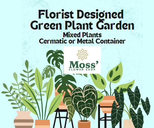 Illustration of assorted potted green plants with a florist logo and text