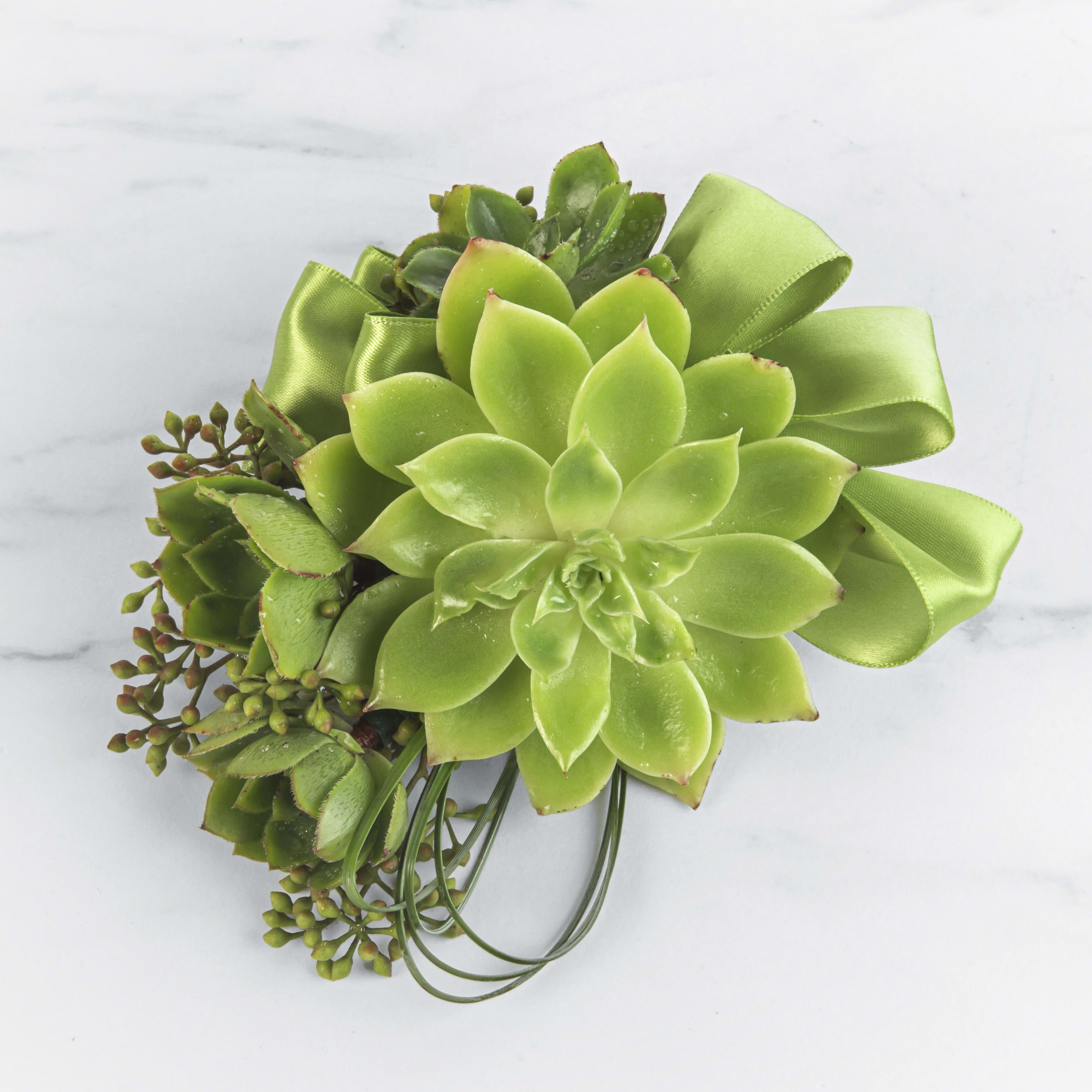 Green succulent bouquet with a satin ribbon