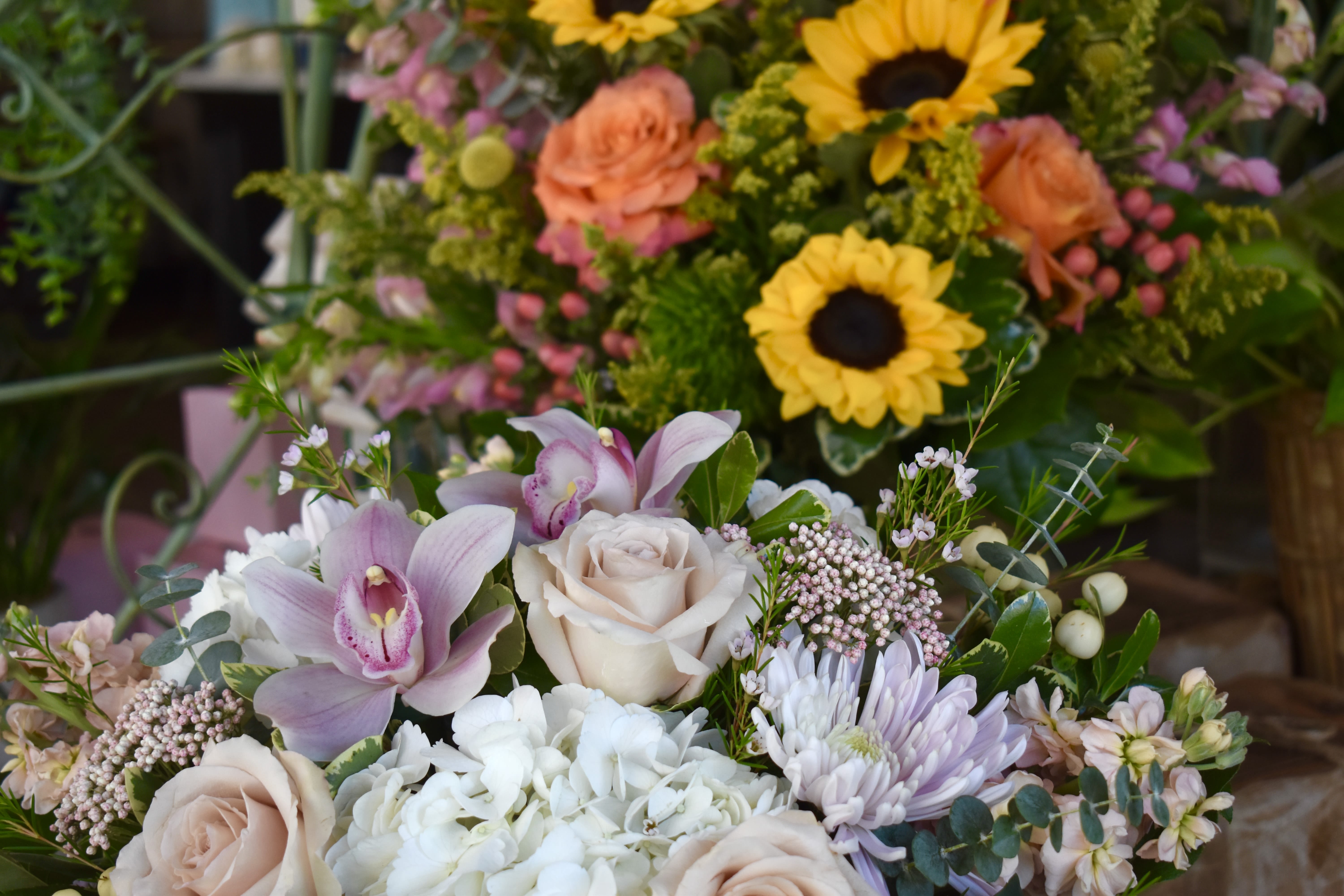 Designer's Choice - Classic - A custom-curated arrangement showcasing premium blooms in an elegant, one-of-a-kind presentation -- always using fresh, seasonal, best of day florals.