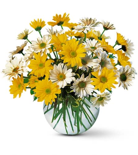 Bouquet of yellow and white daisies in a round glass vase