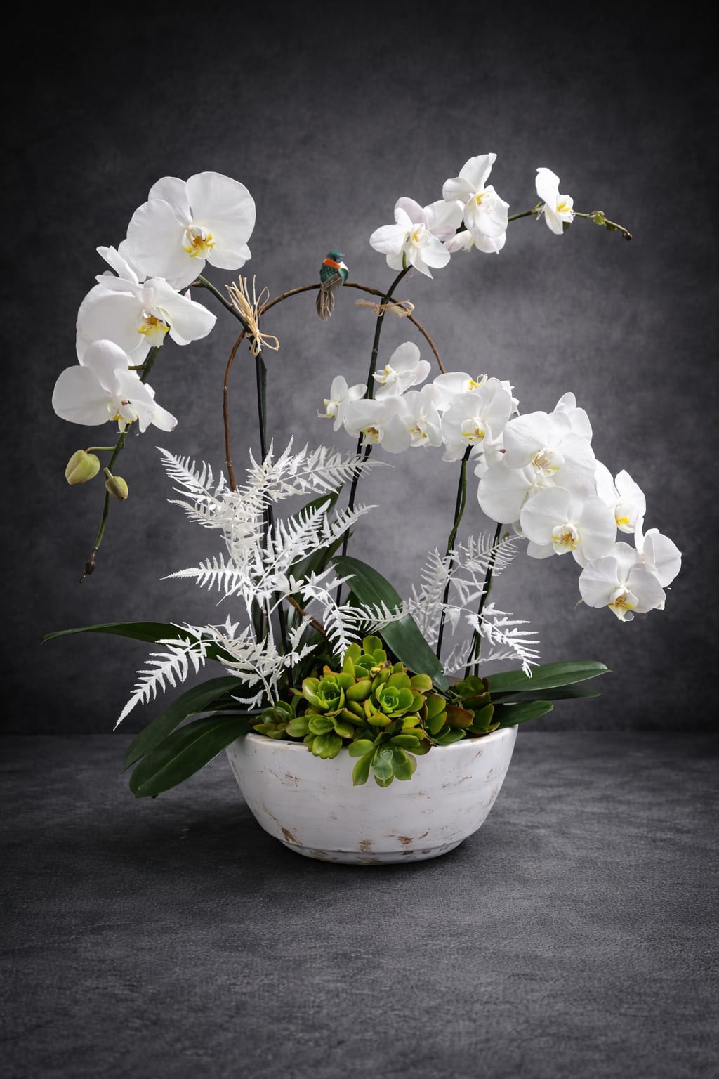 Elegant Style Orchids - **just we have one** 5 stem orchid plants with a succulent and complimentary accents in a modern ceramic planter.