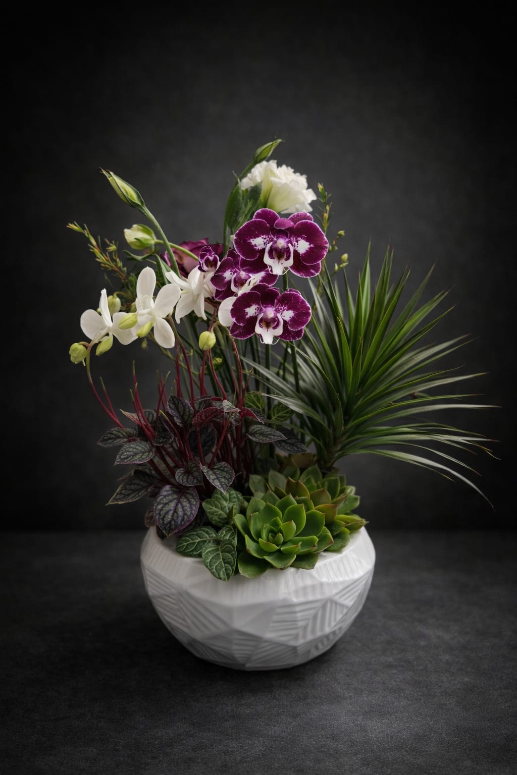 Three steam orchid with plant - A Beautiful orchid plant in a ceramic planter 