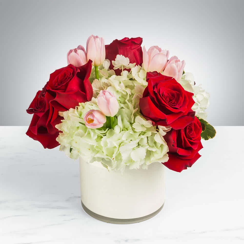 Red roses and pale pink tulips in a white vase with white hydrangeas